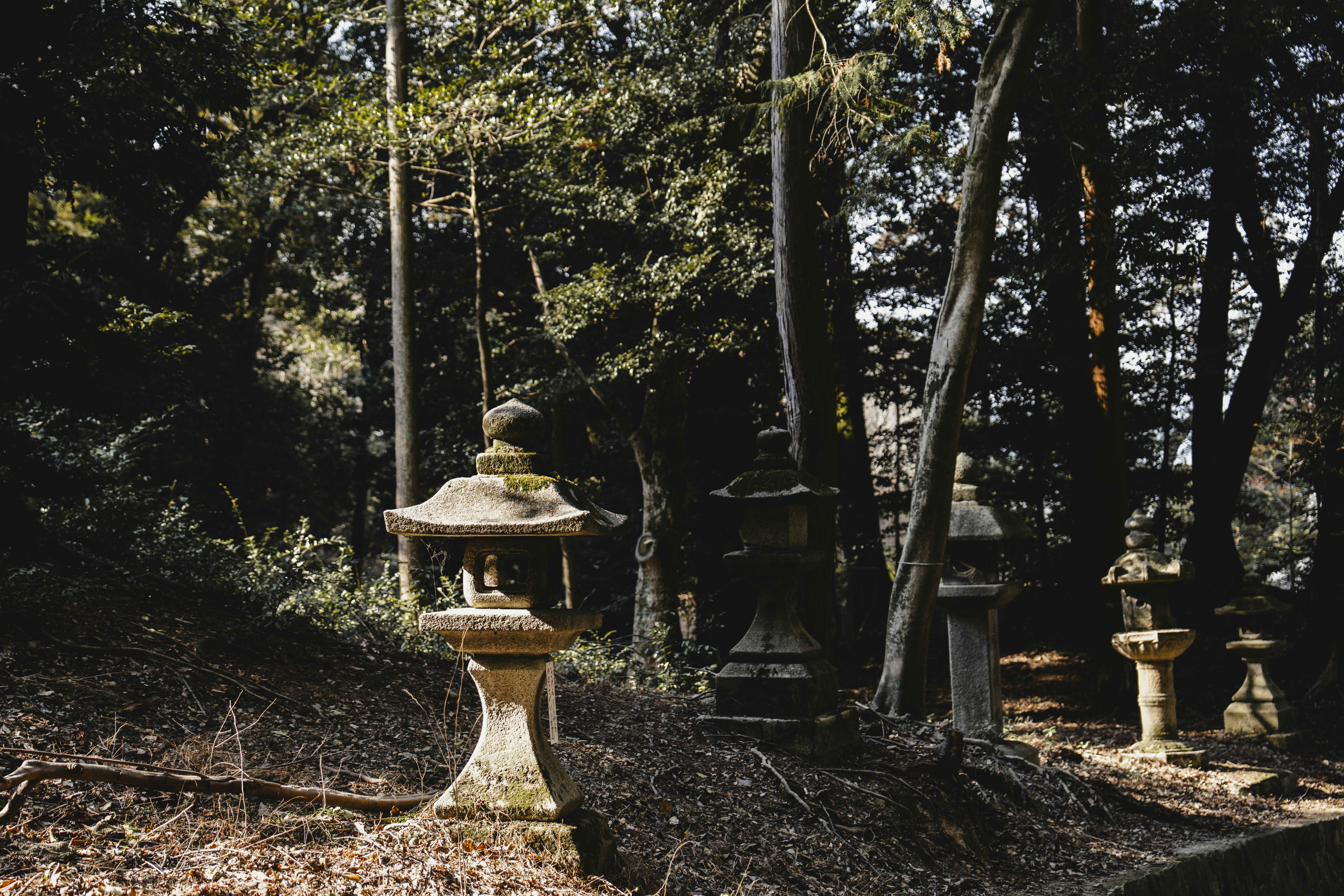 Photo by lifeof_peter_