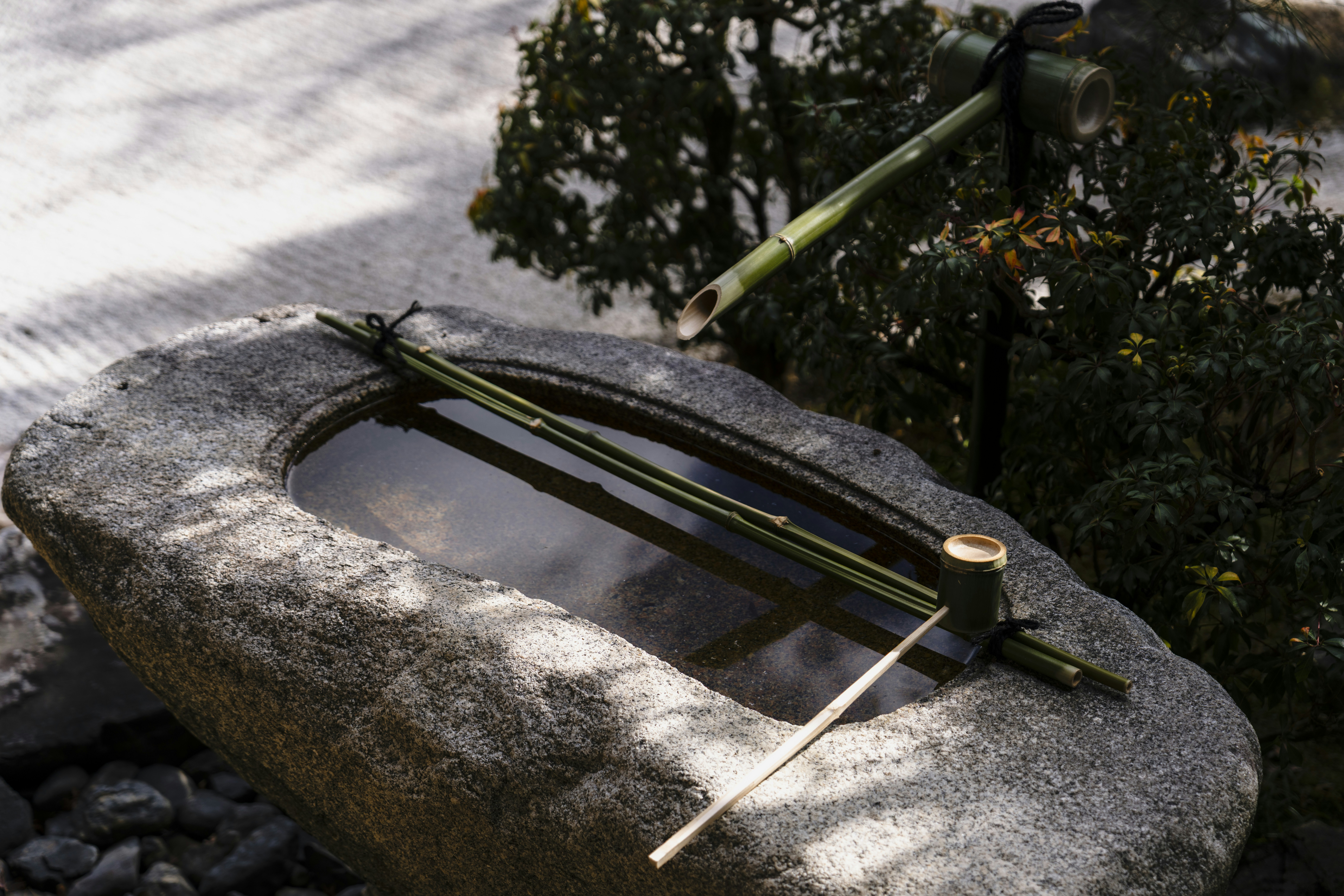 Stone basin with bamboo water feature and greenery