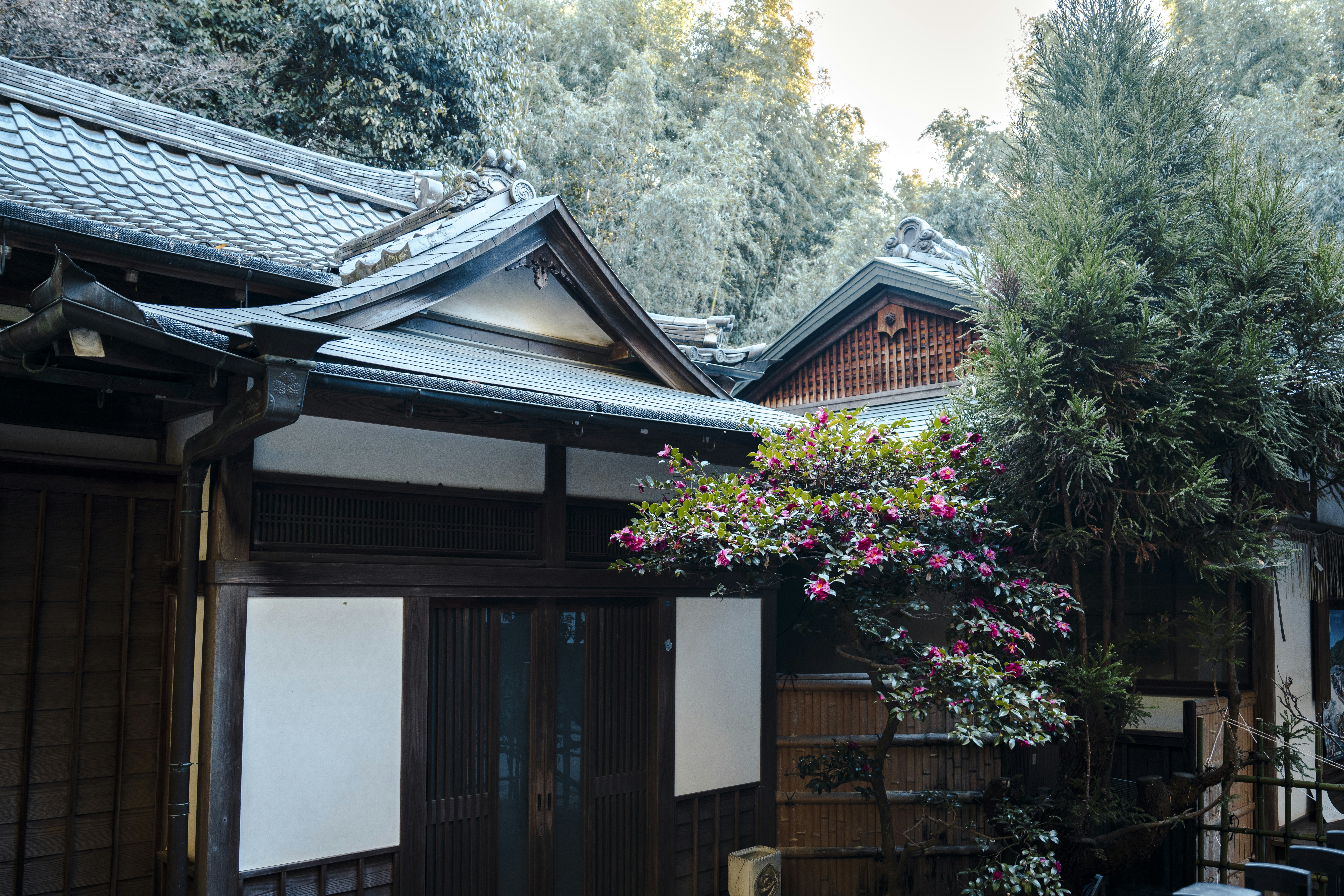 Photo by lifeof_peter_