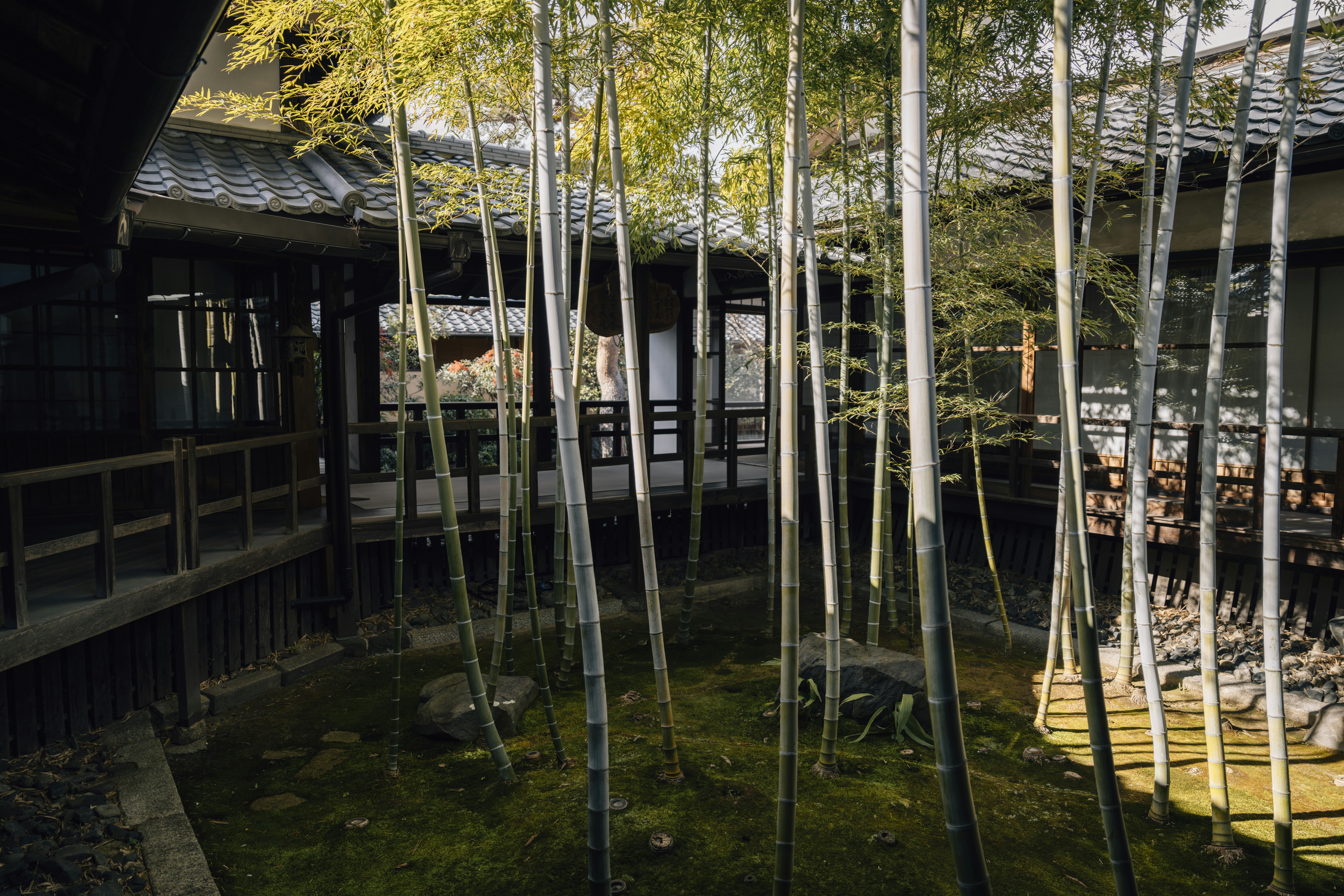Kyoto traditional ryokan accommodation