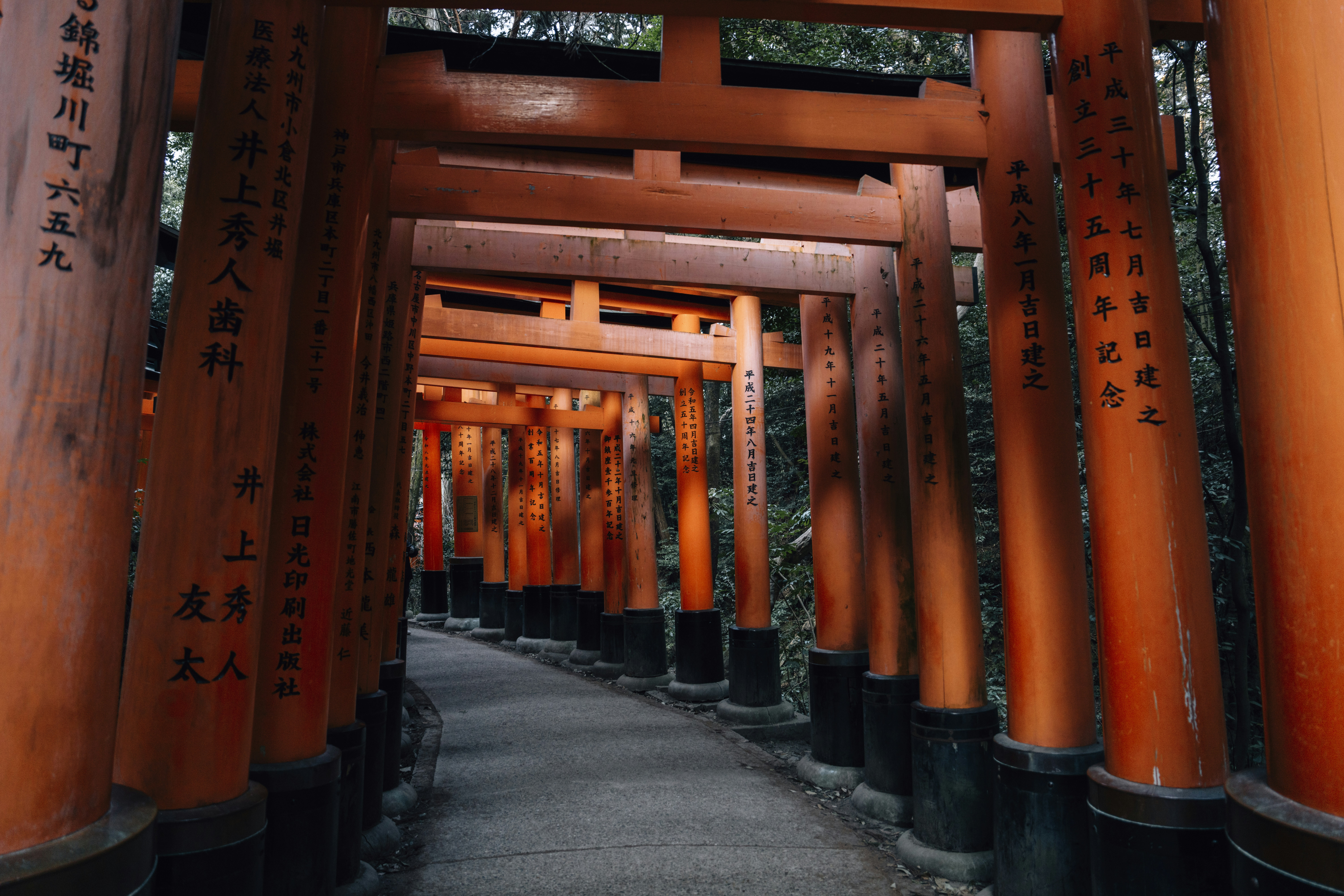 Photo by lifeof_peter_