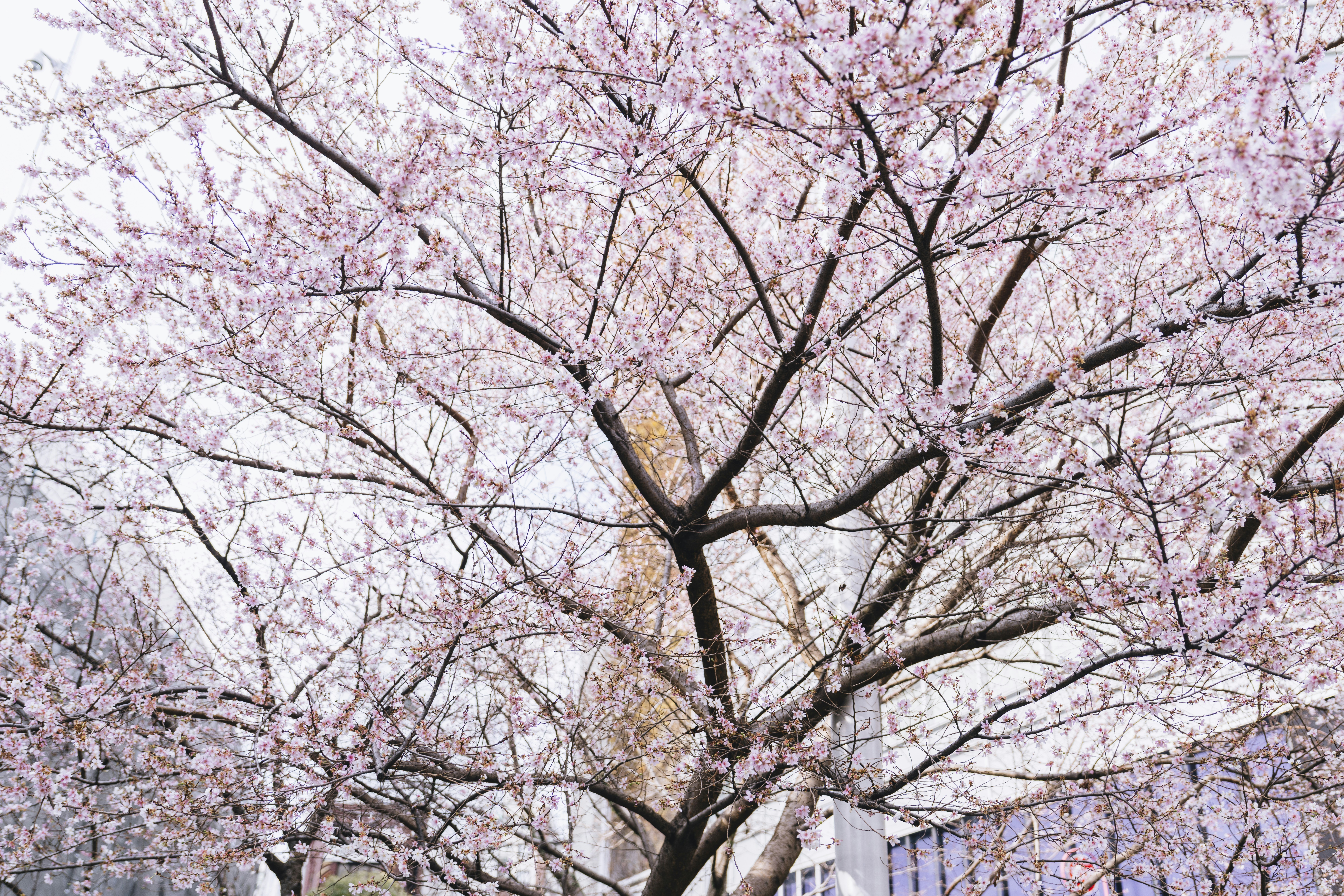 Photo by lifeof_peter_