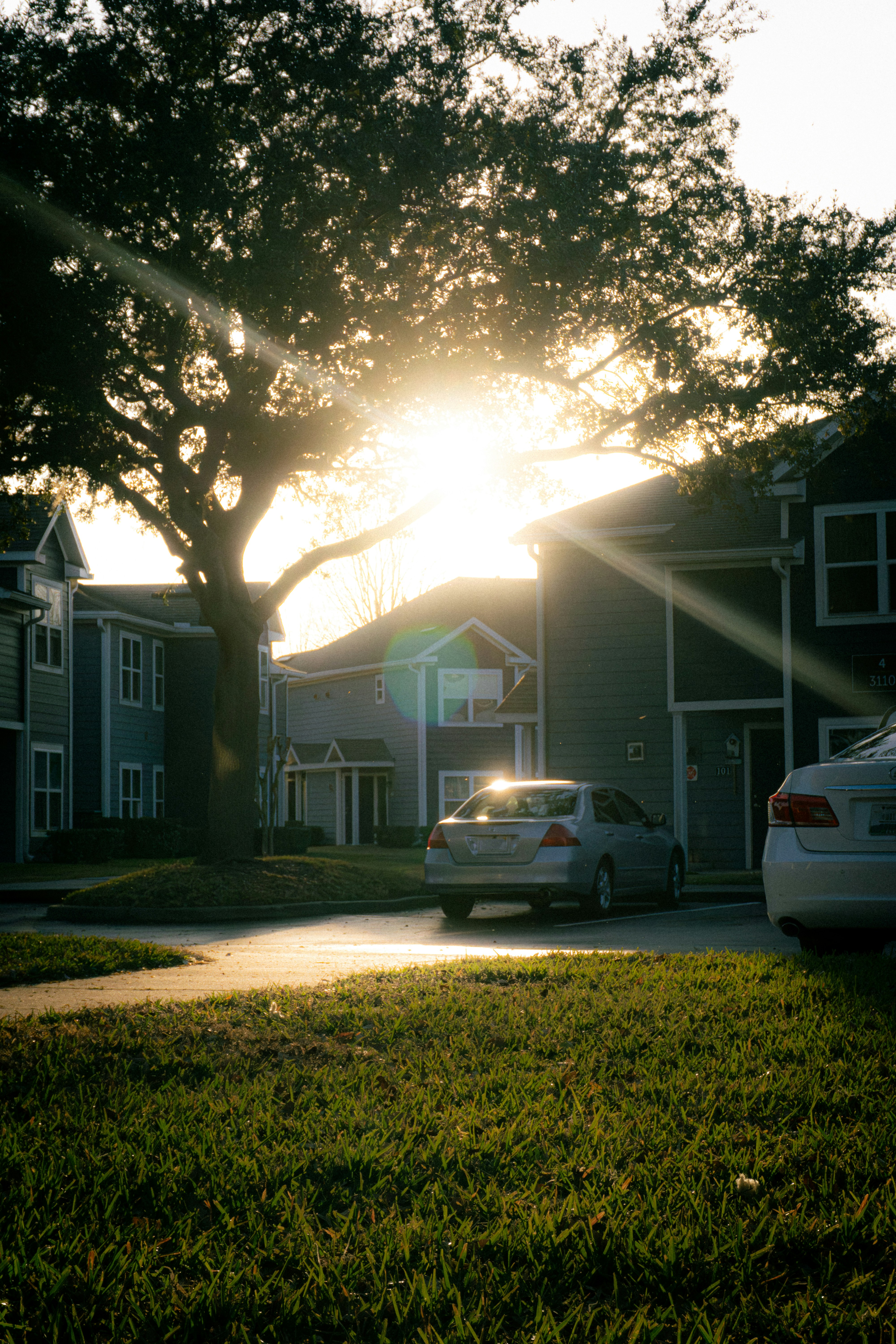 Photo by Osmany M Leyva Aldana on Unsplash