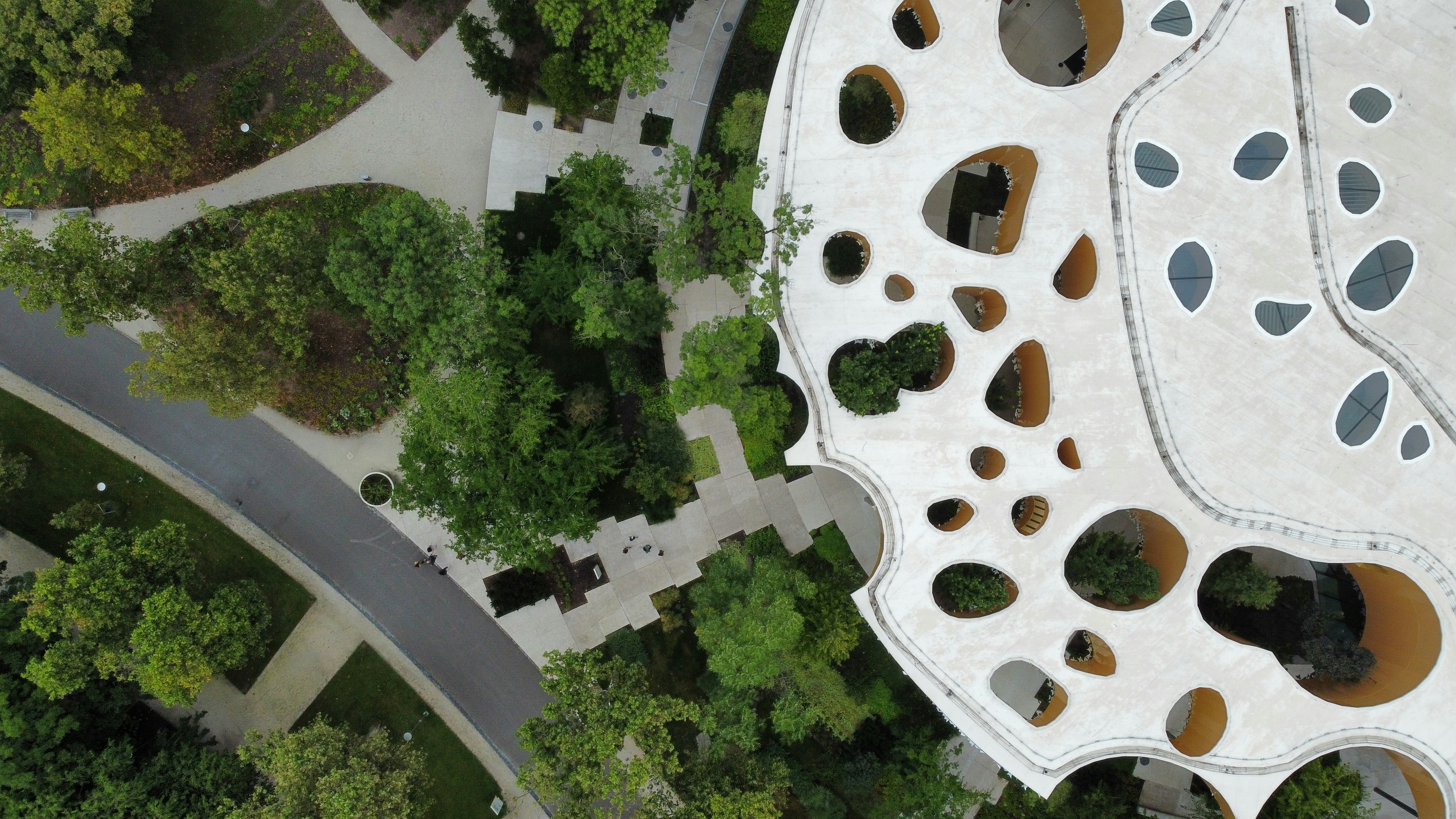 Modern building with organic holes next to green trees