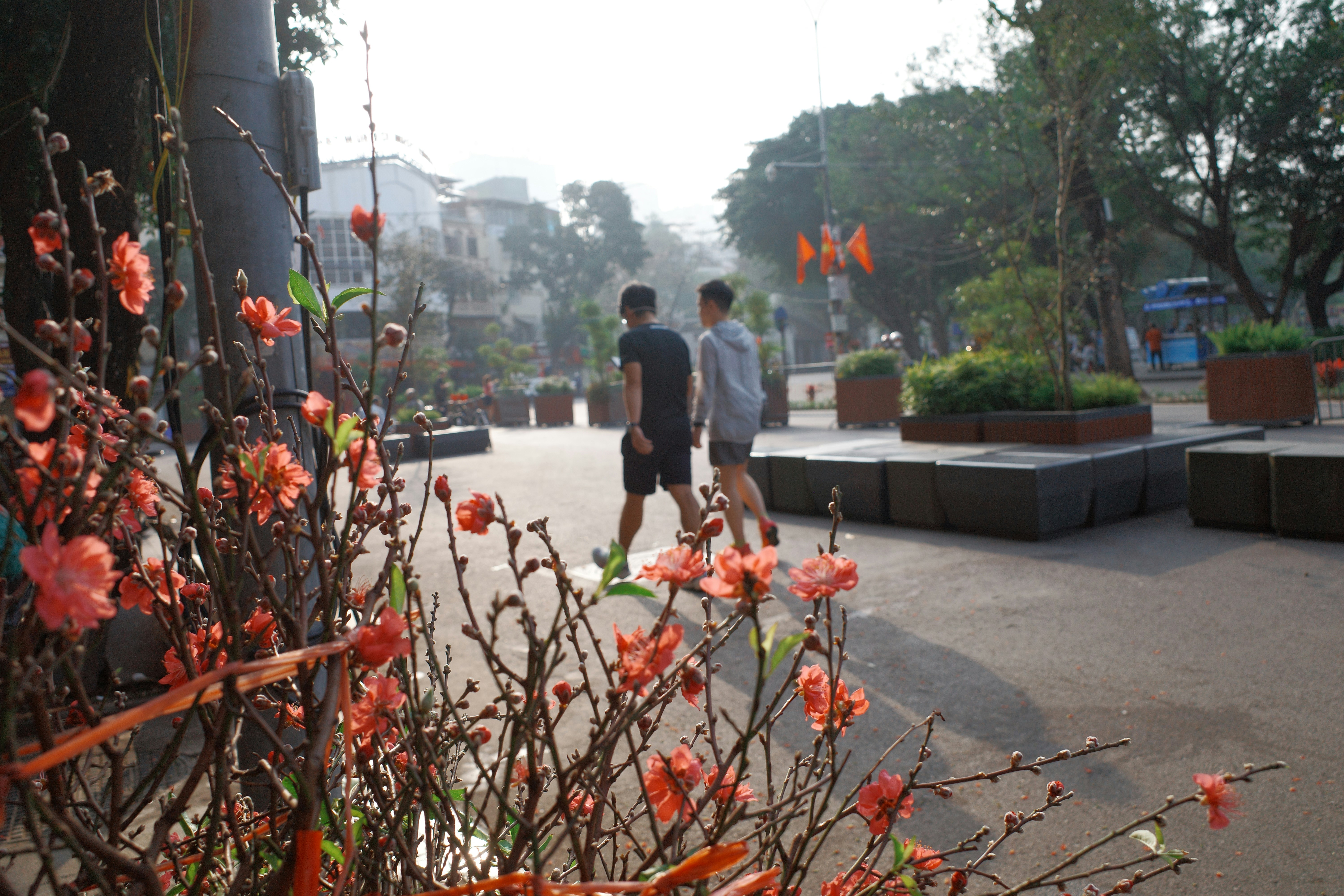 Two people walk past blooming branches in a park.