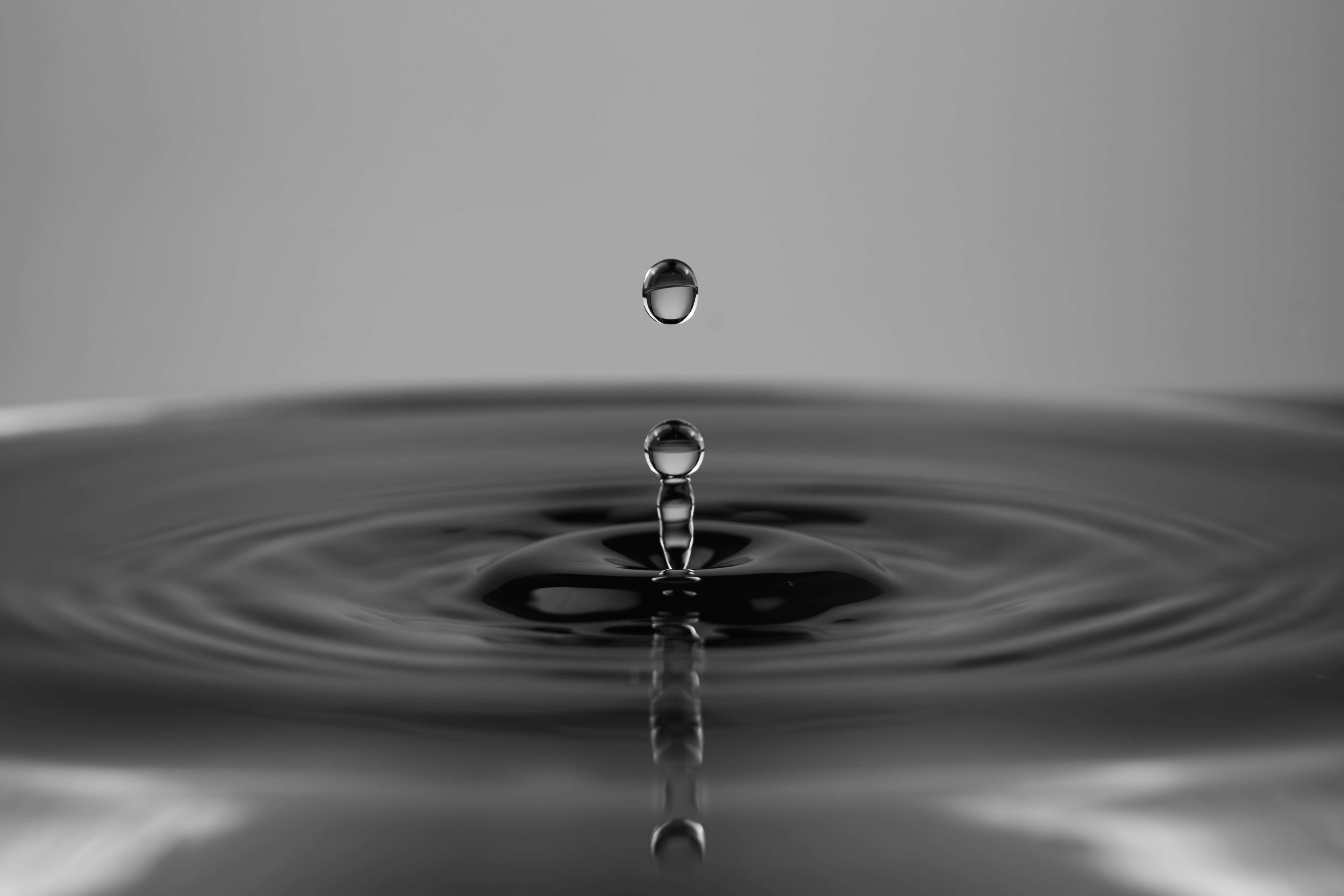 Photo by carolgauthier