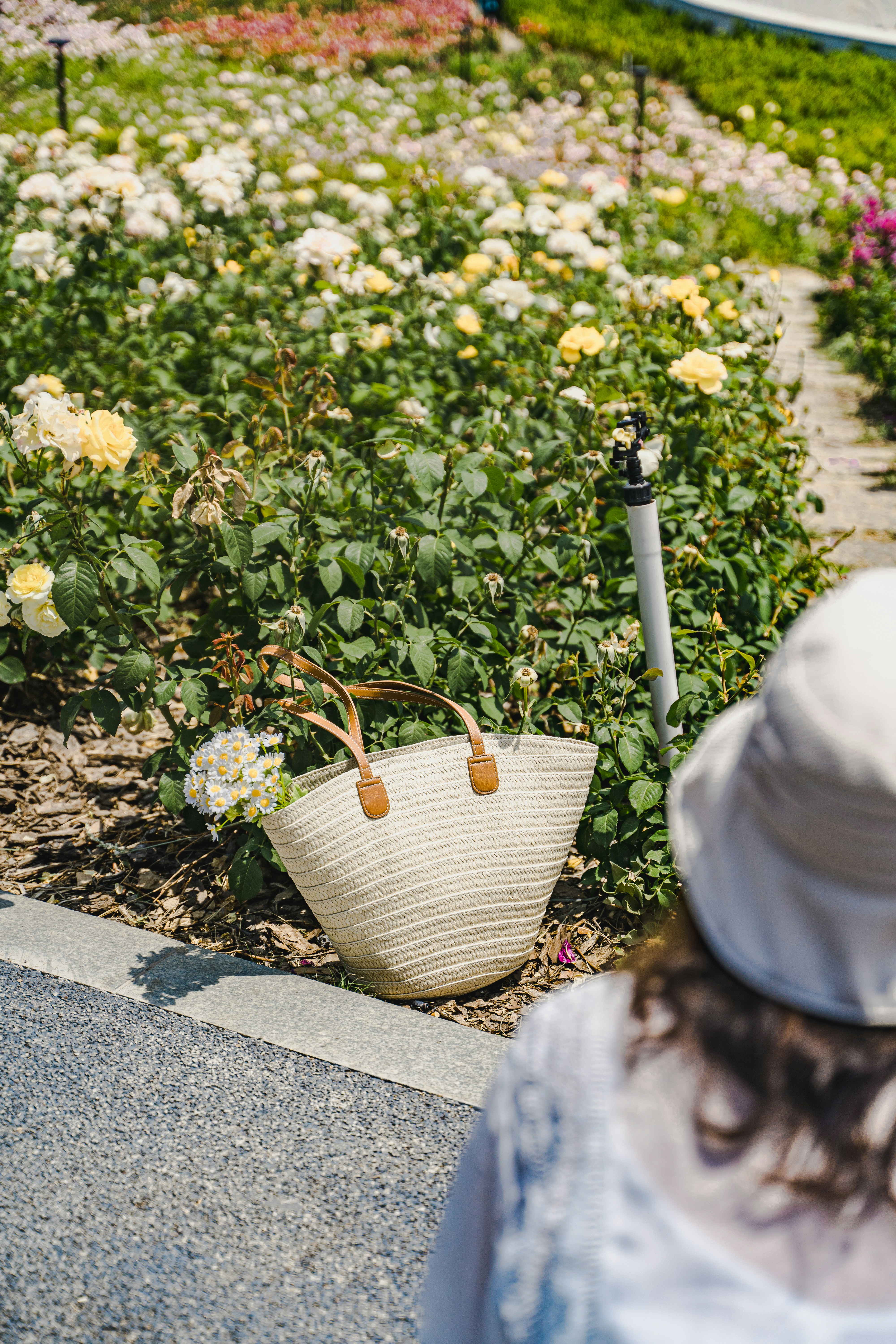 Strohbeutel mit Blumen in einem Rosengarten.