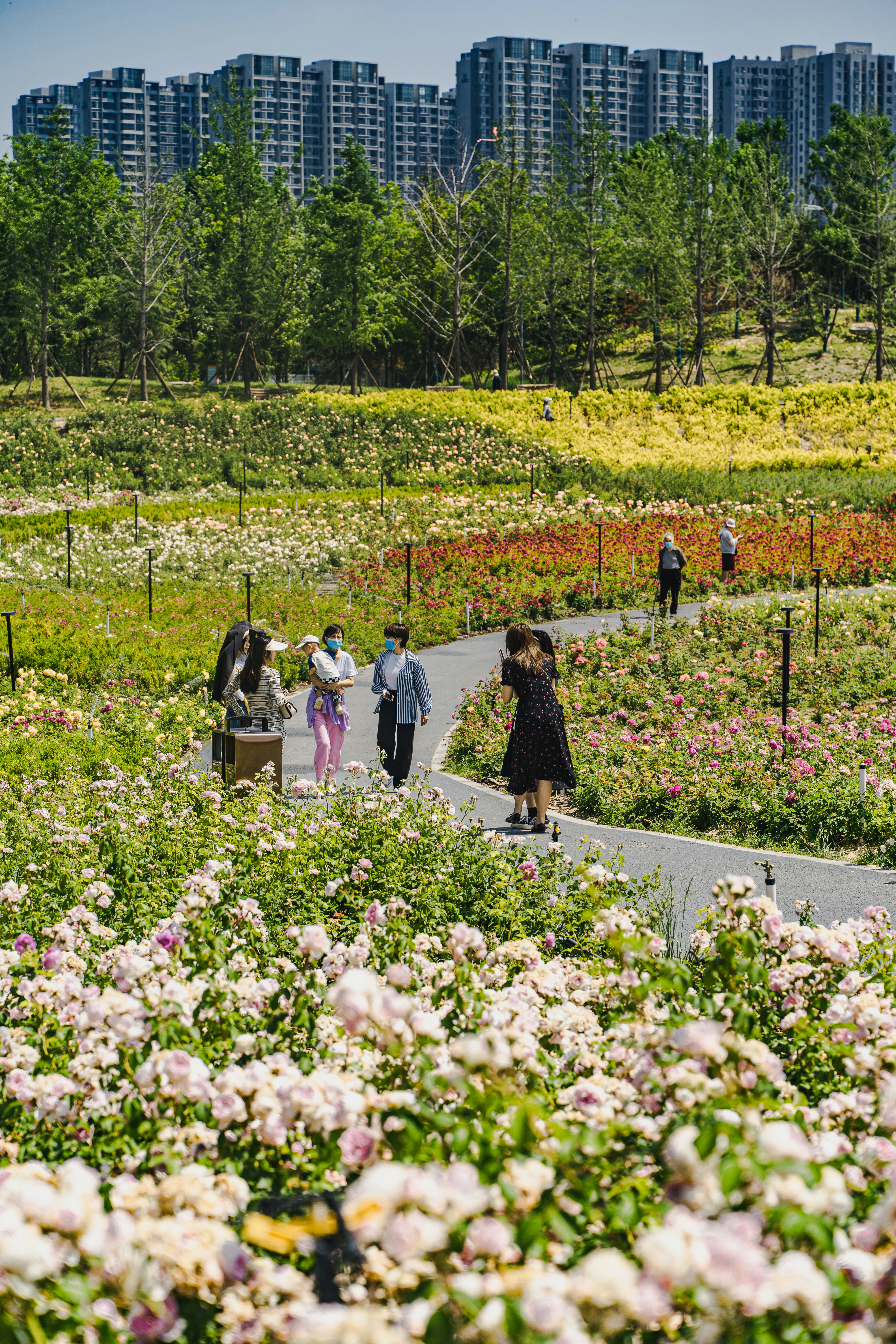 Menschen, die durch einen lebendigen Blumengarten mit dahinter liegenden Gebäuden spazieren.