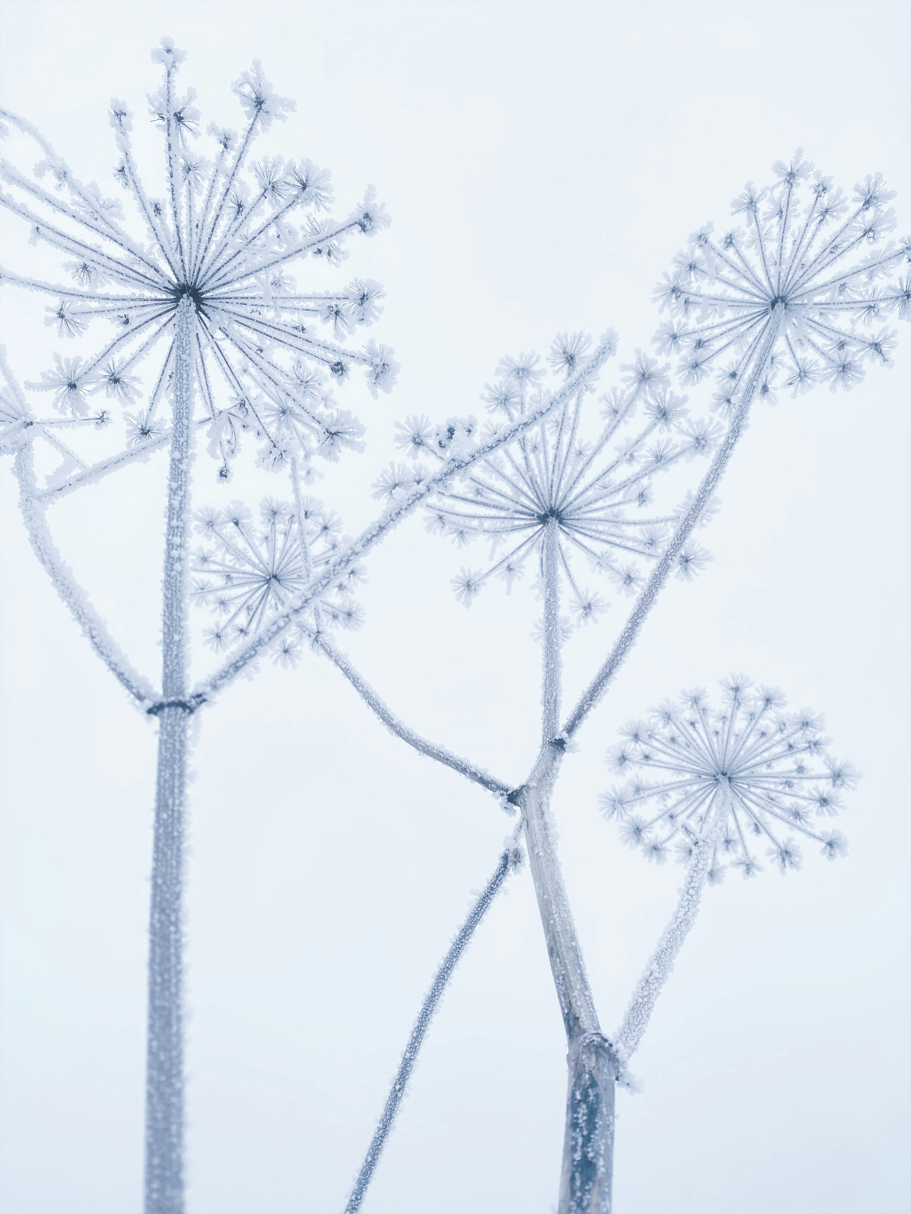 Photo by eugene_golovesov