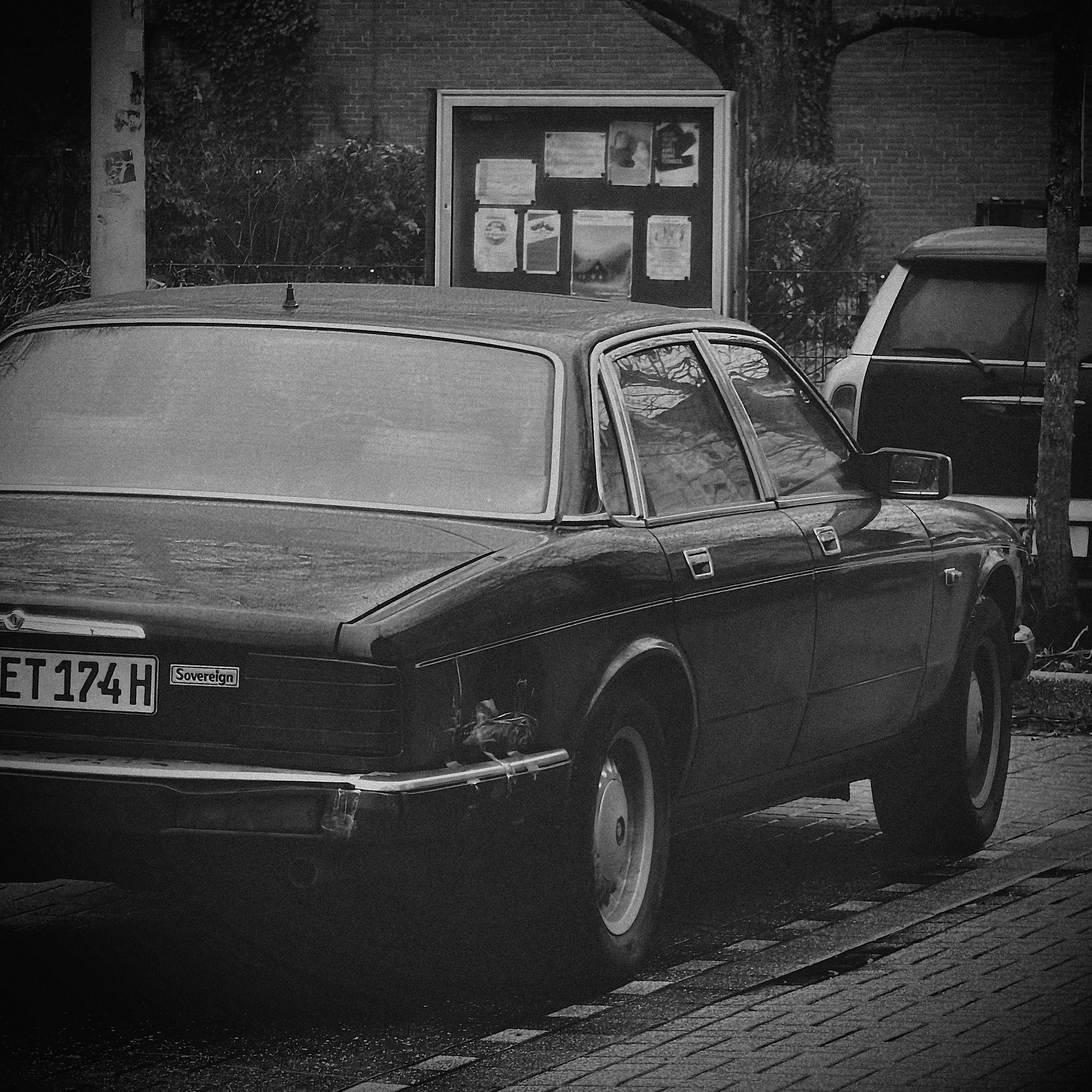 Photo by ugurorhnclk