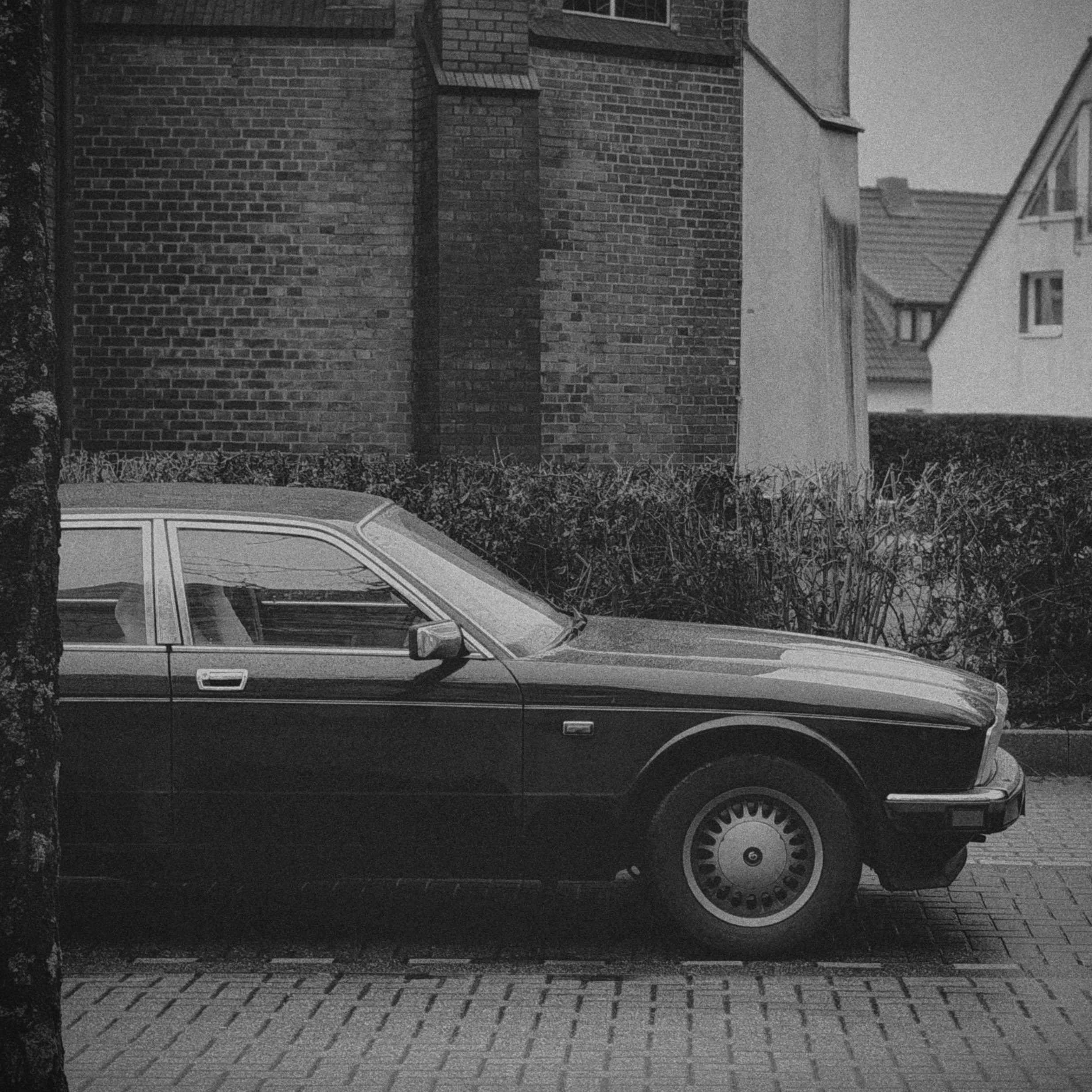 Photo by ugurorhnclk