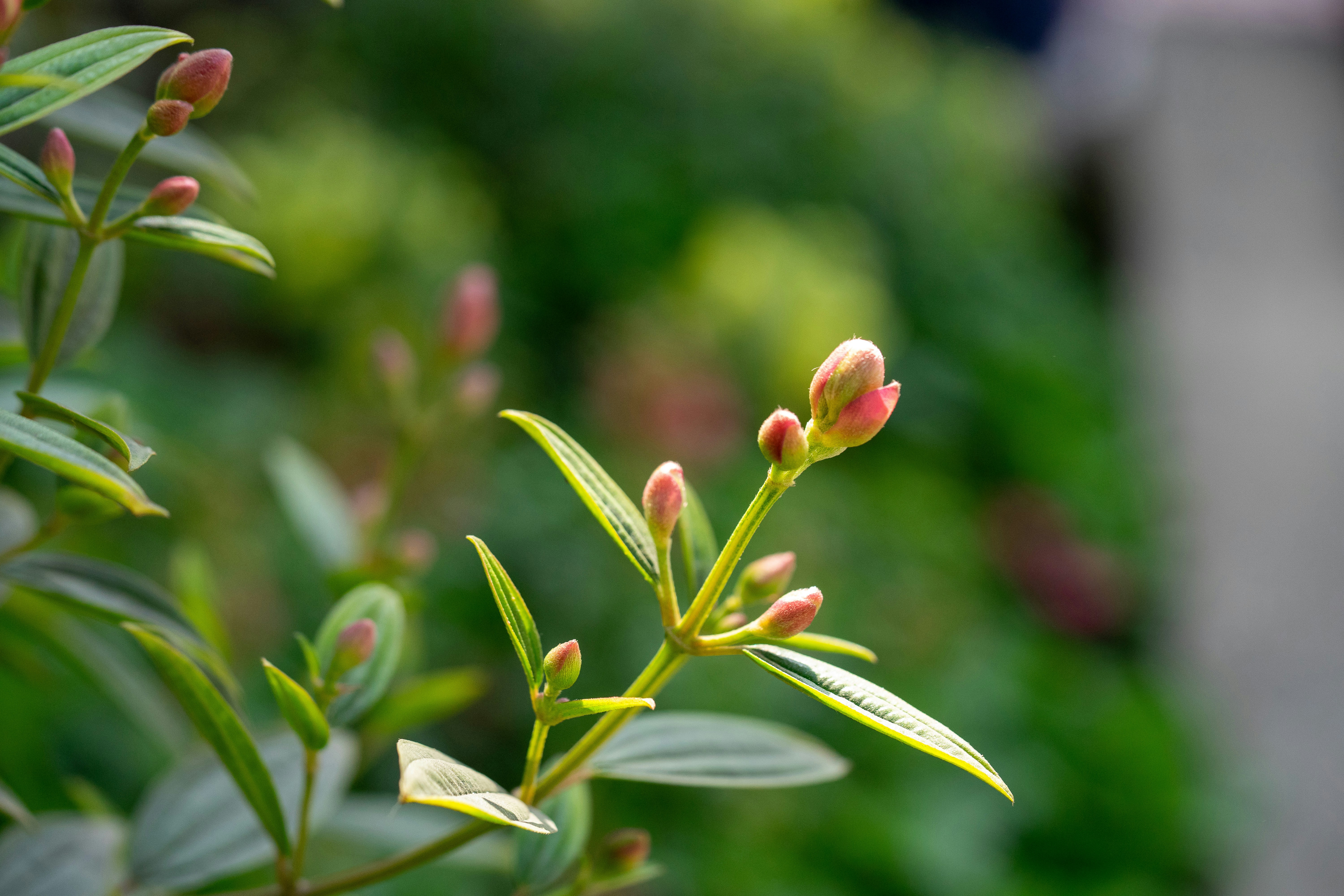 Preparing for Hajj: A Quarterback's Game Plan