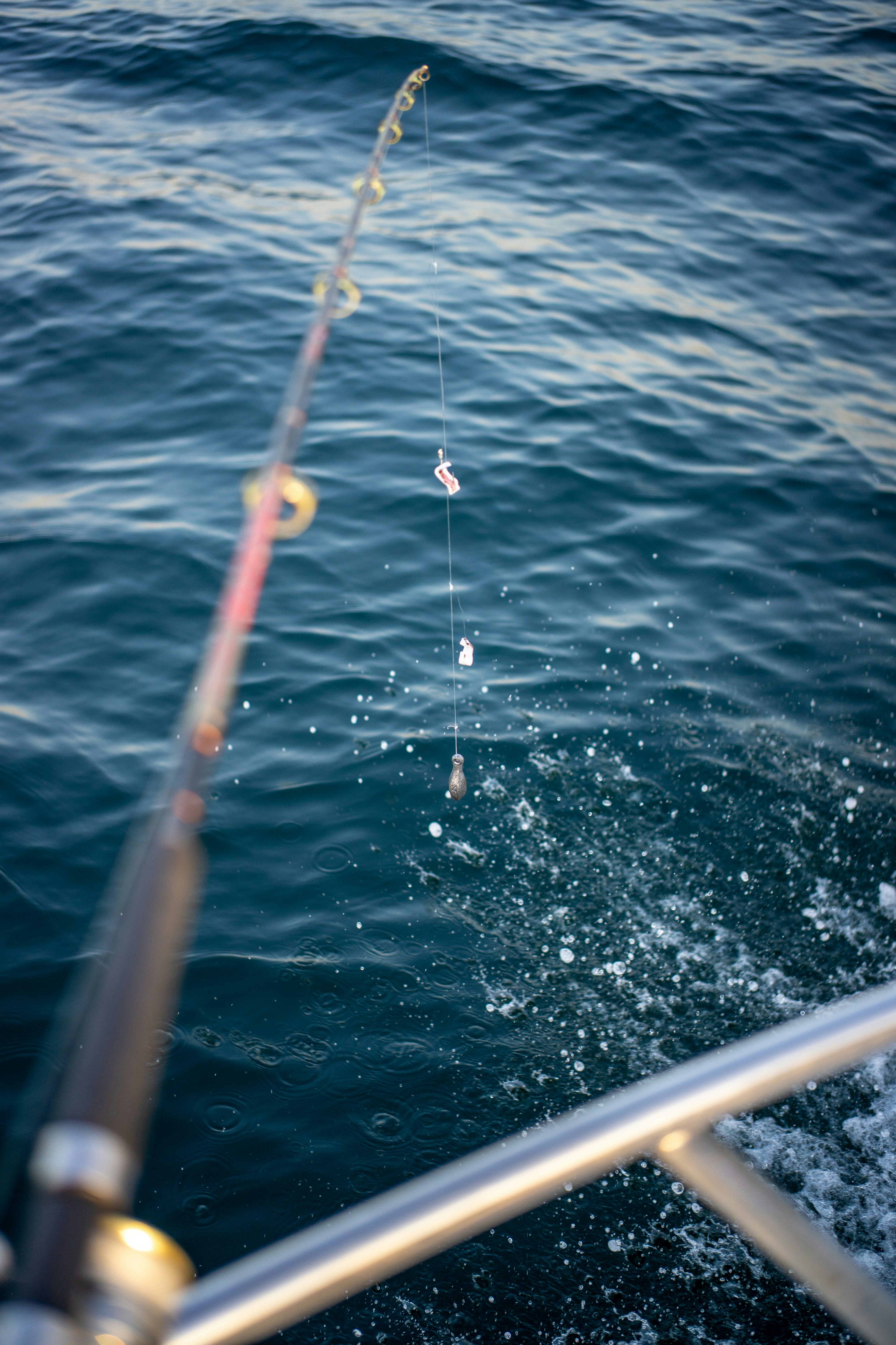 Fishing rod over the blue ocean water