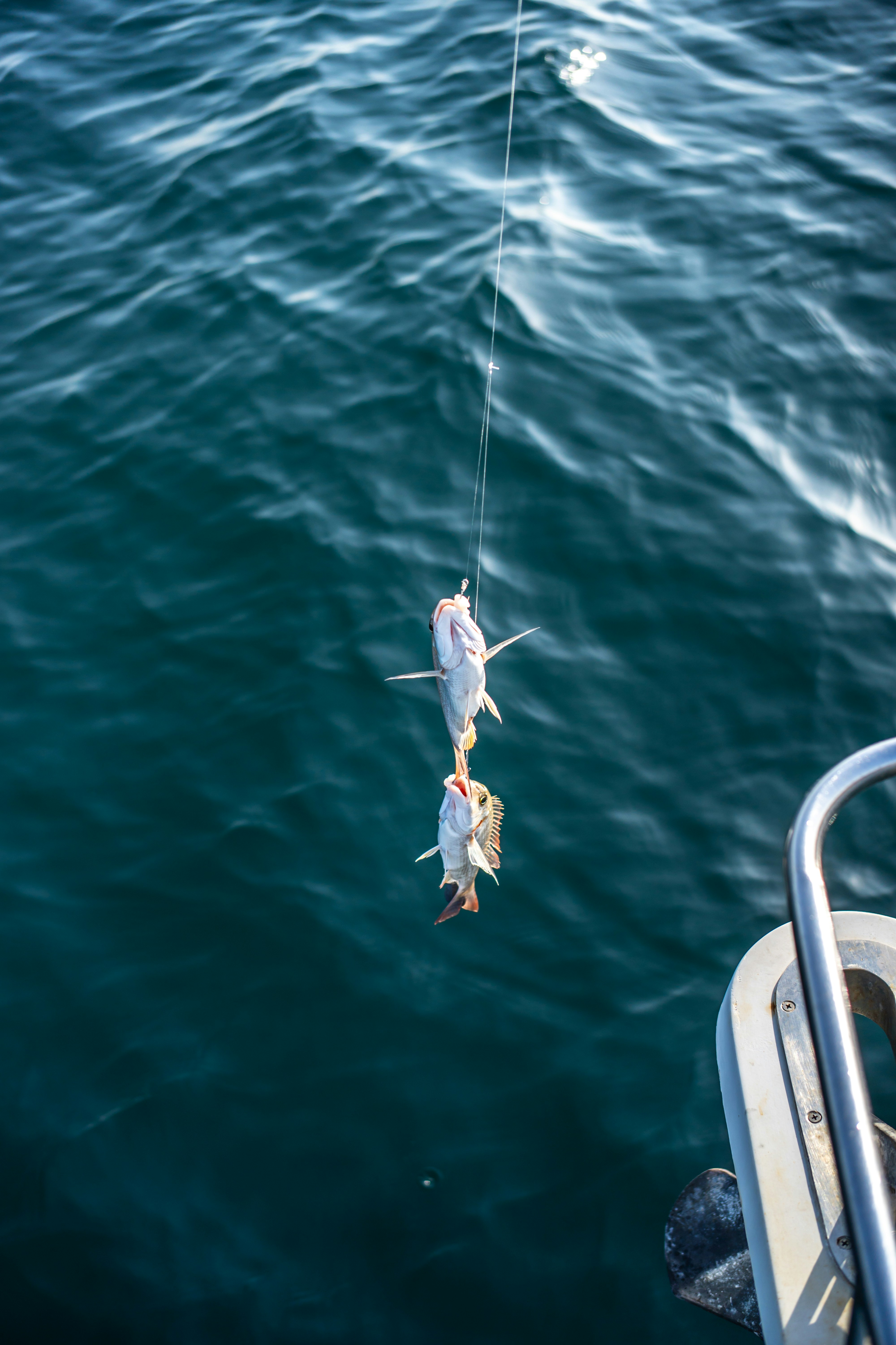 Photo by benkoorengevel