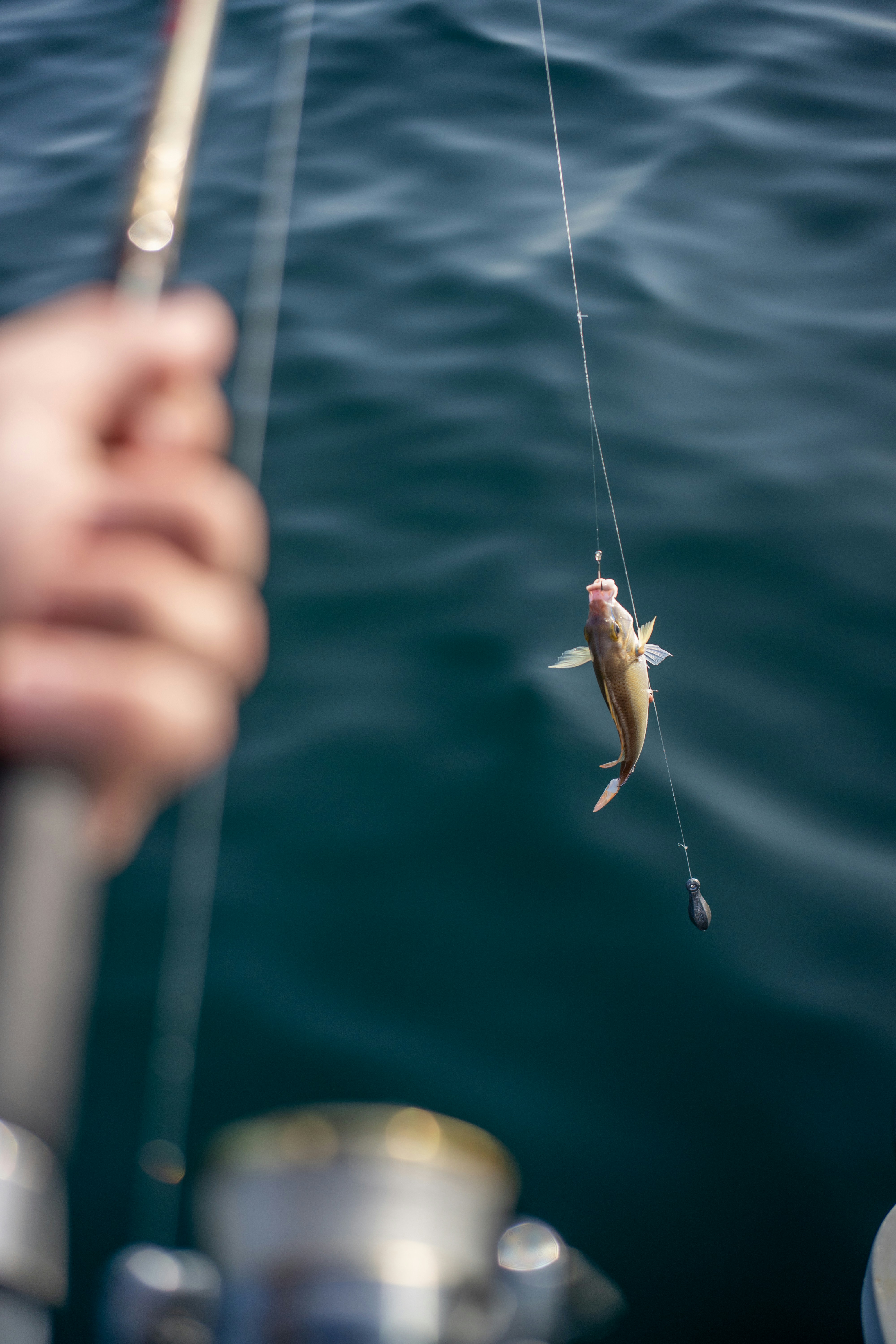 Photo by benkoorengevel