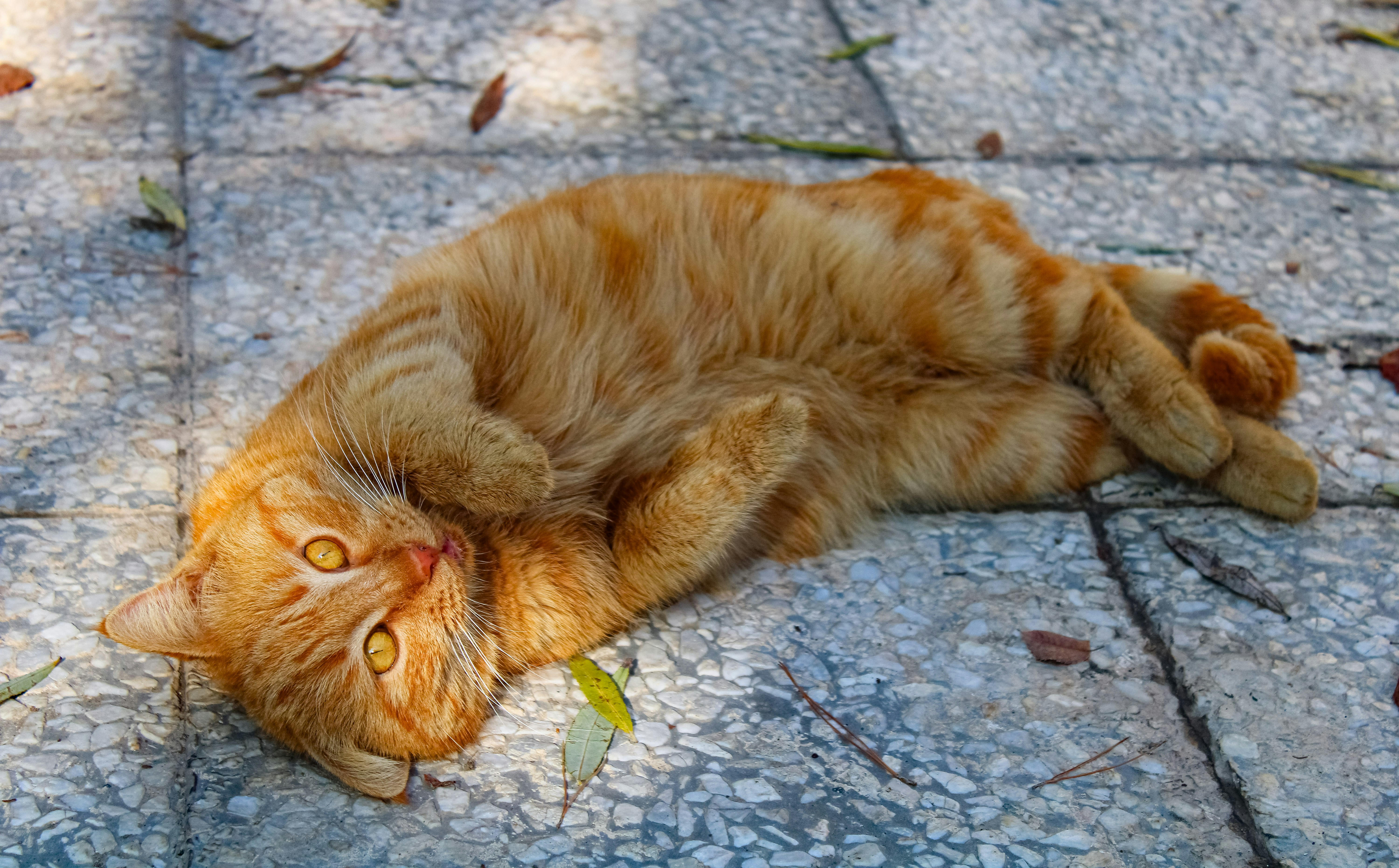 Photo by nouriehferdosian