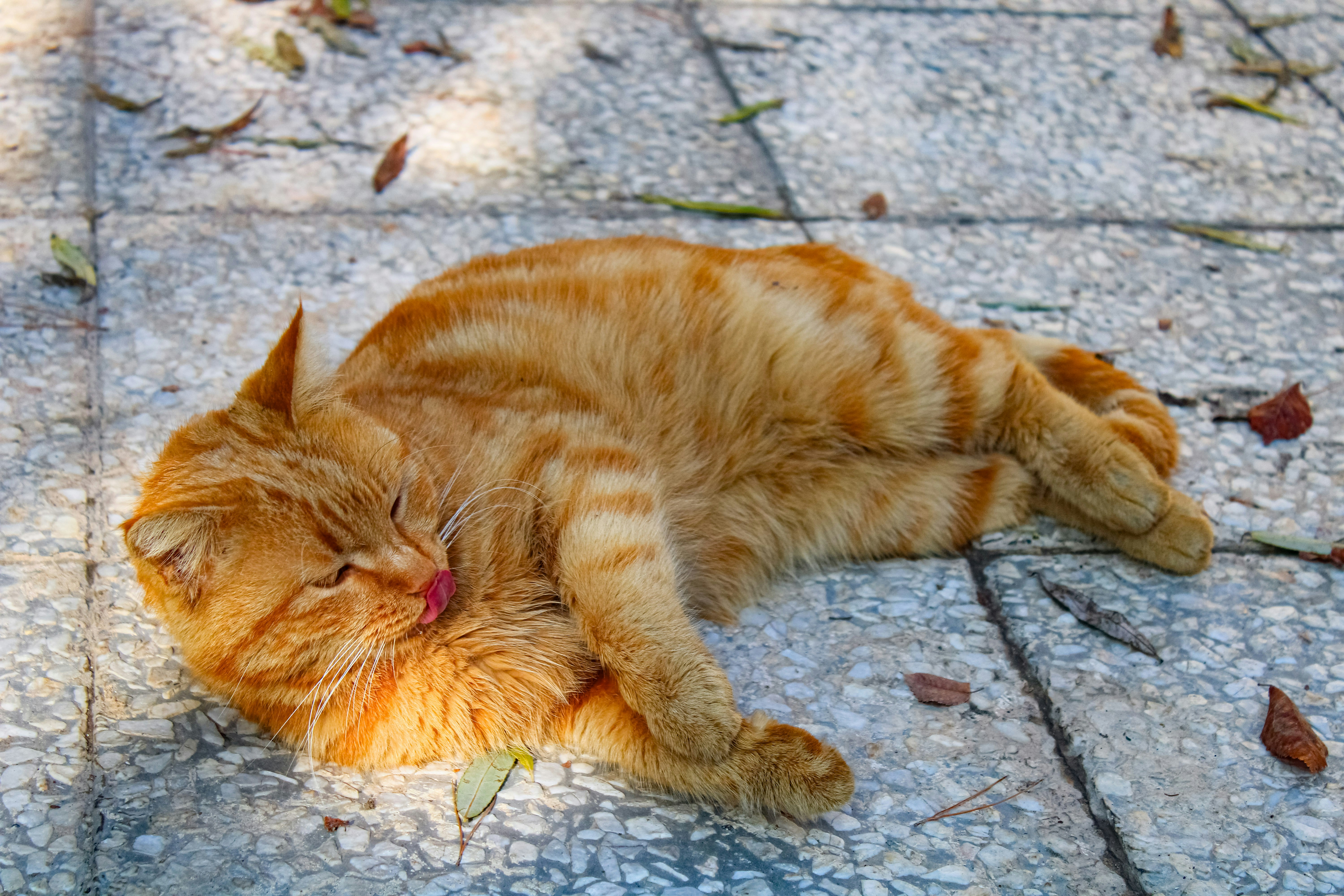 Photo by nouriehferdosian