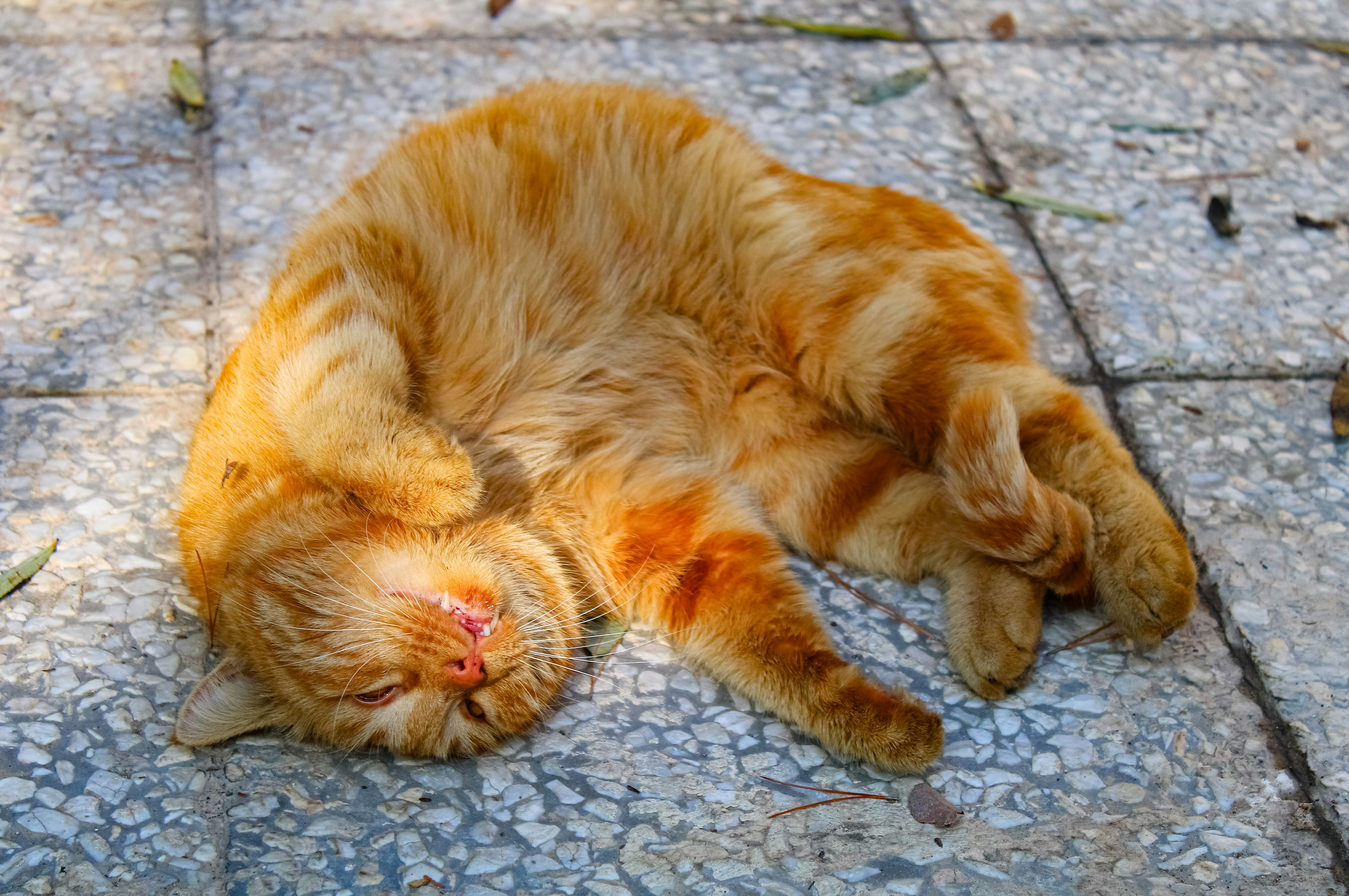 Photo by nouriehferdosian