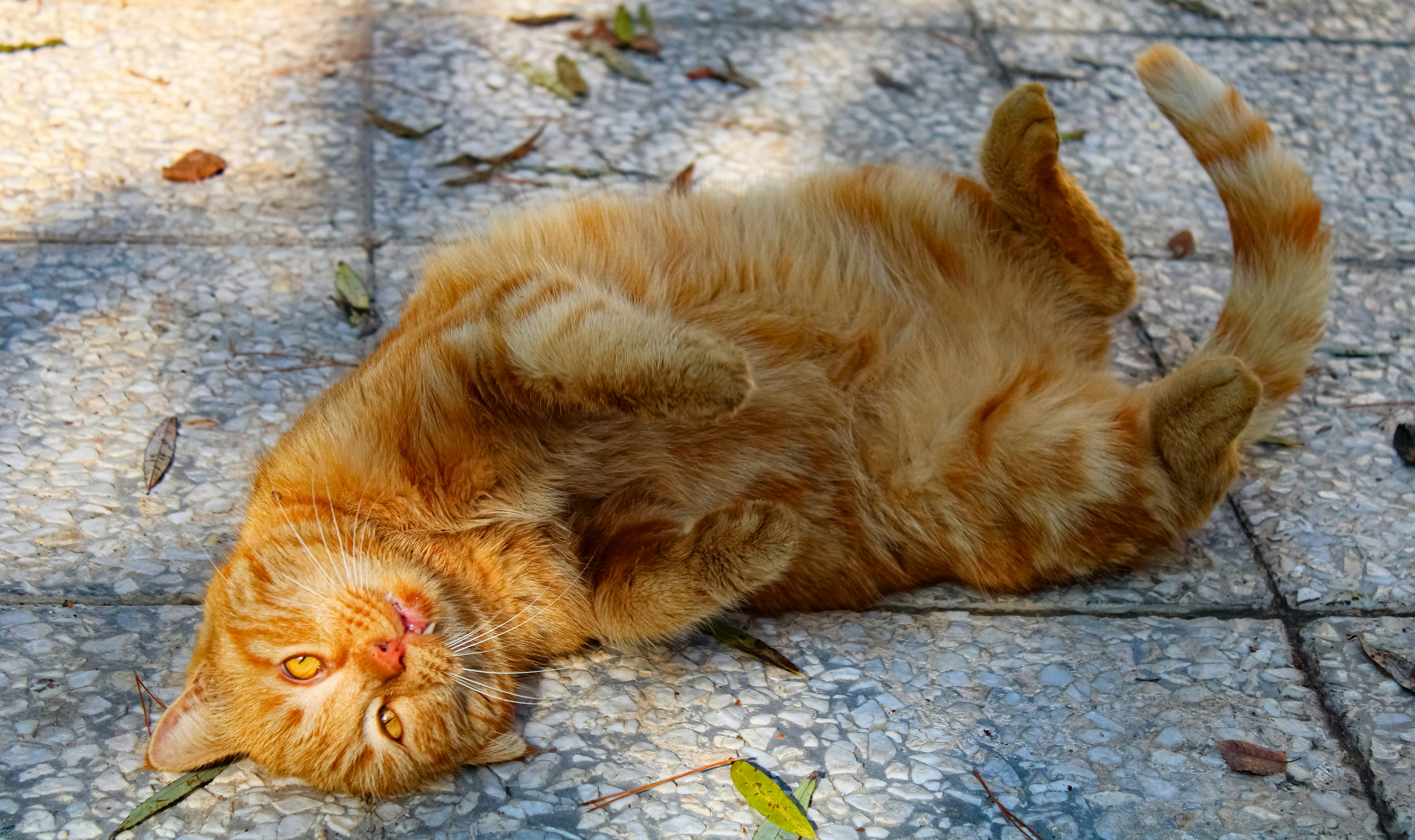 Photo by nouriehferdosian