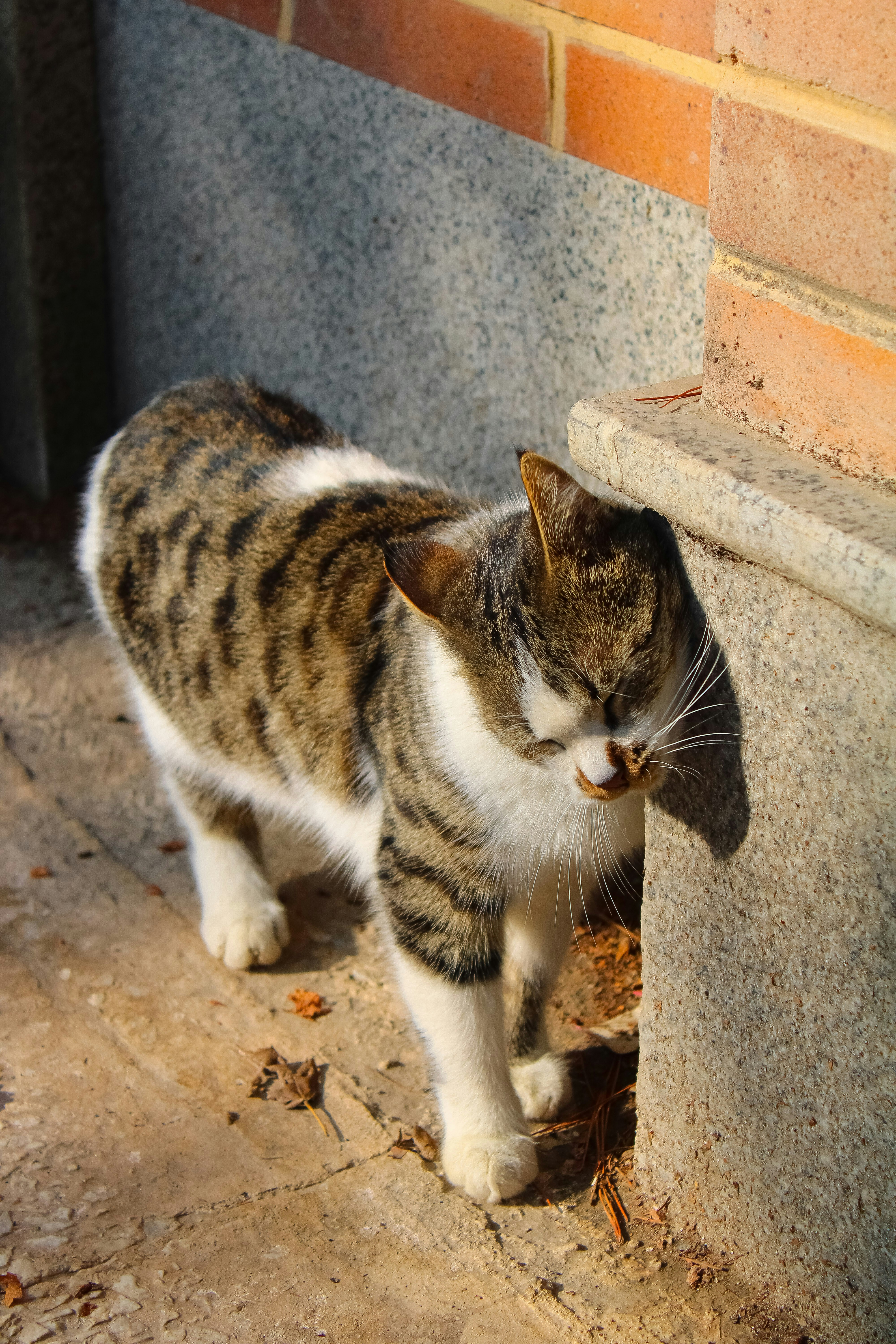 Photo by nouriehferdosian