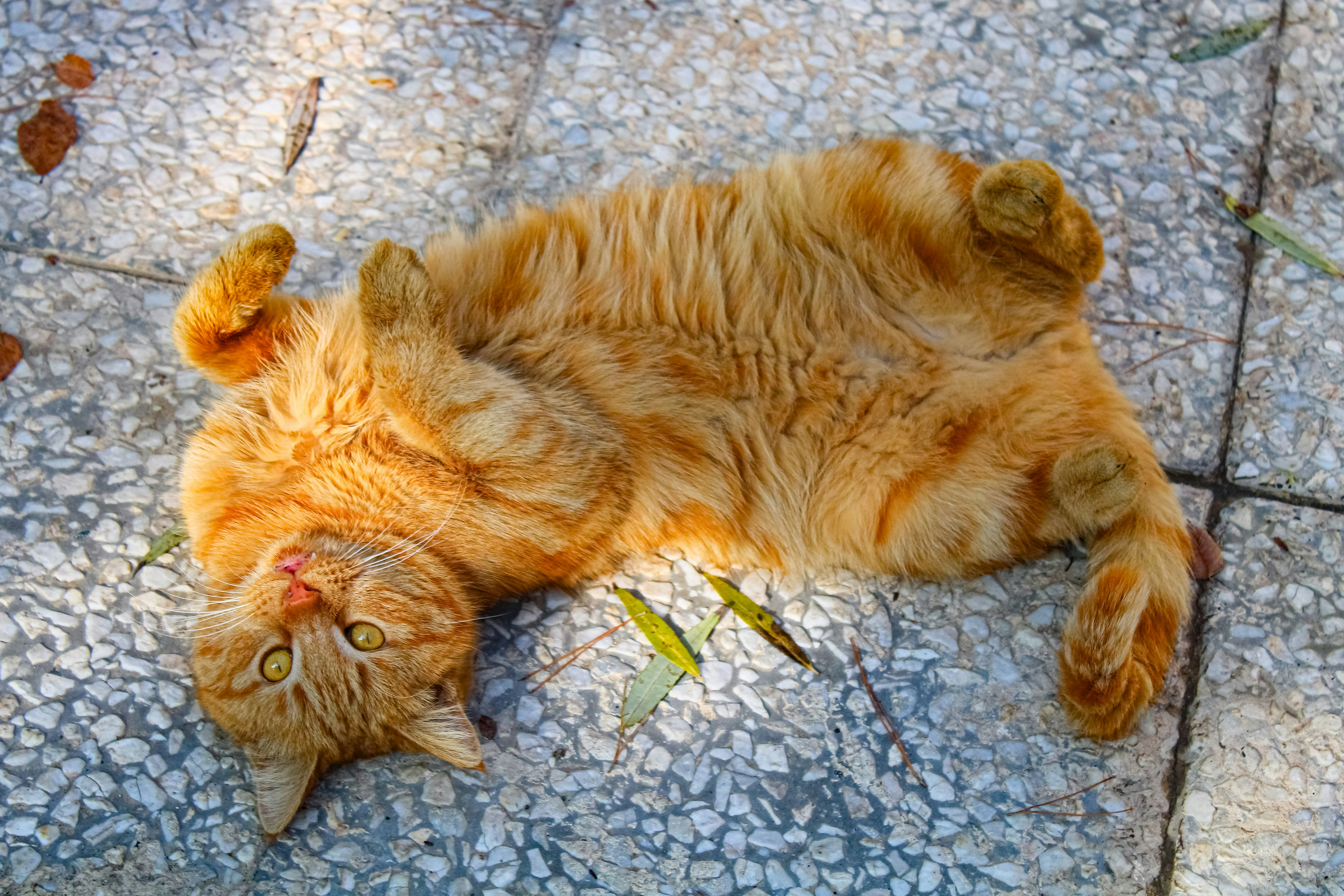 Photo by nouriehferdosian