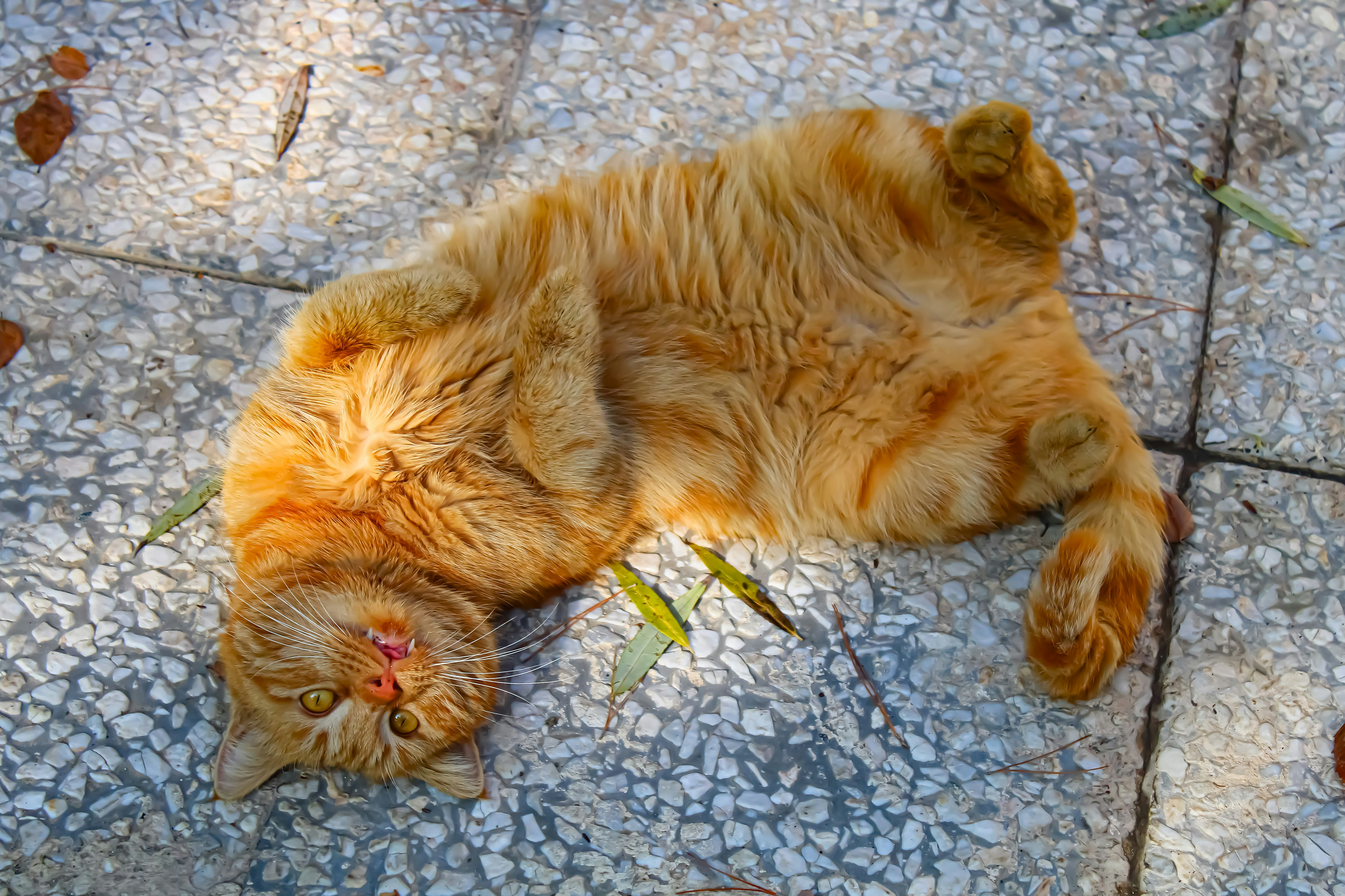 Photo by nouriehferdosian