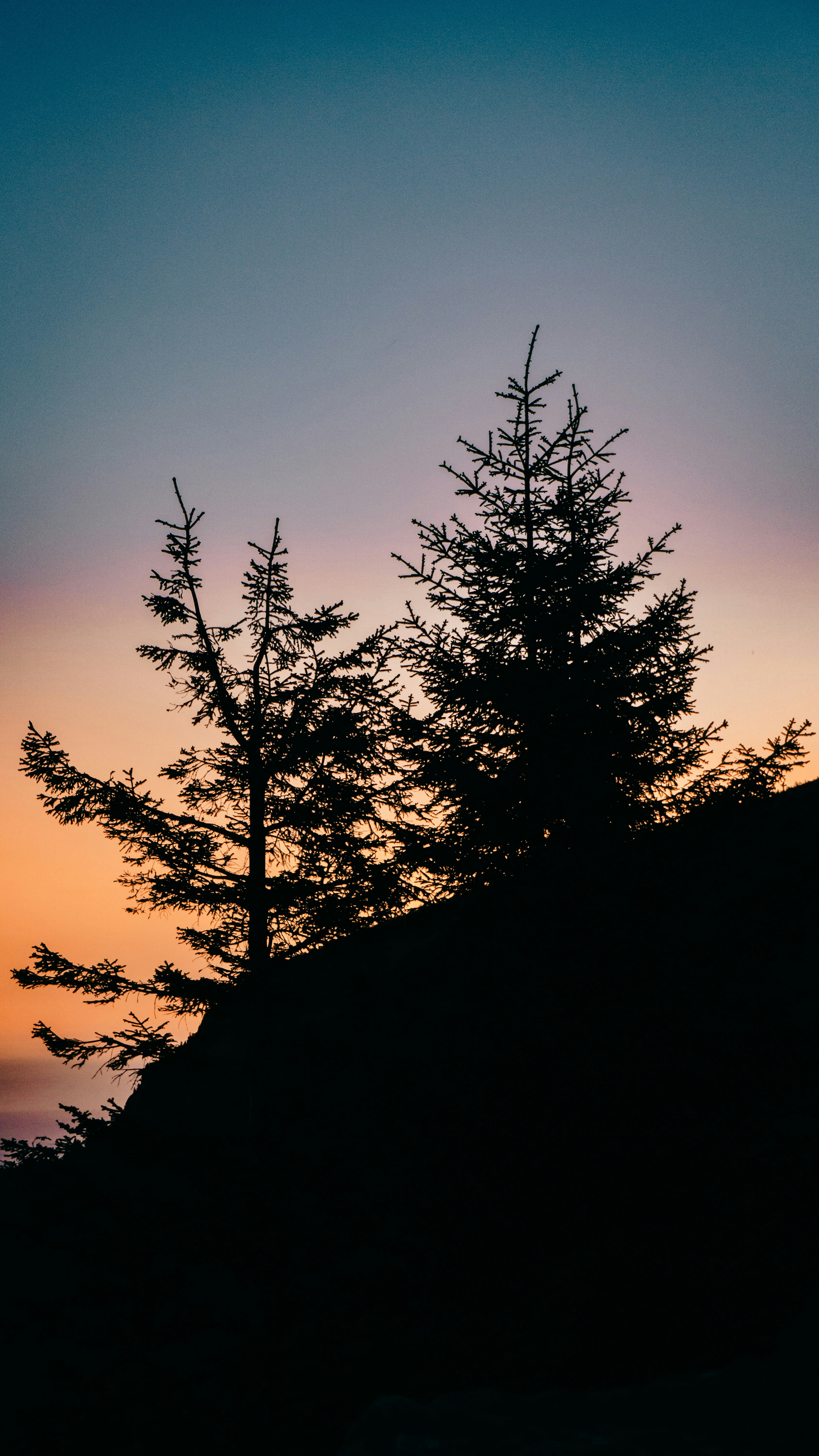 Photo by erdem_aydin