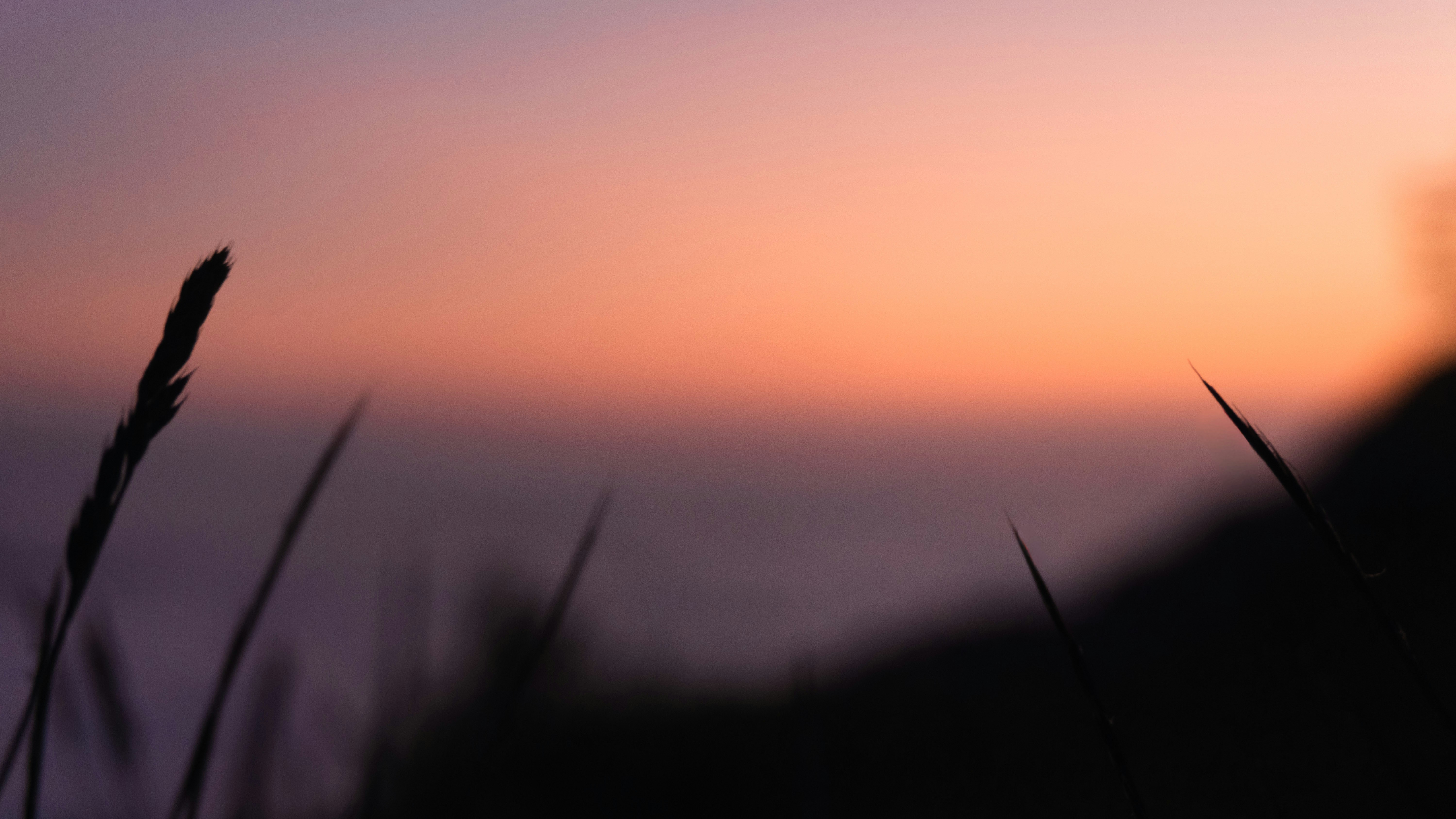 Photo by erdem_aydin