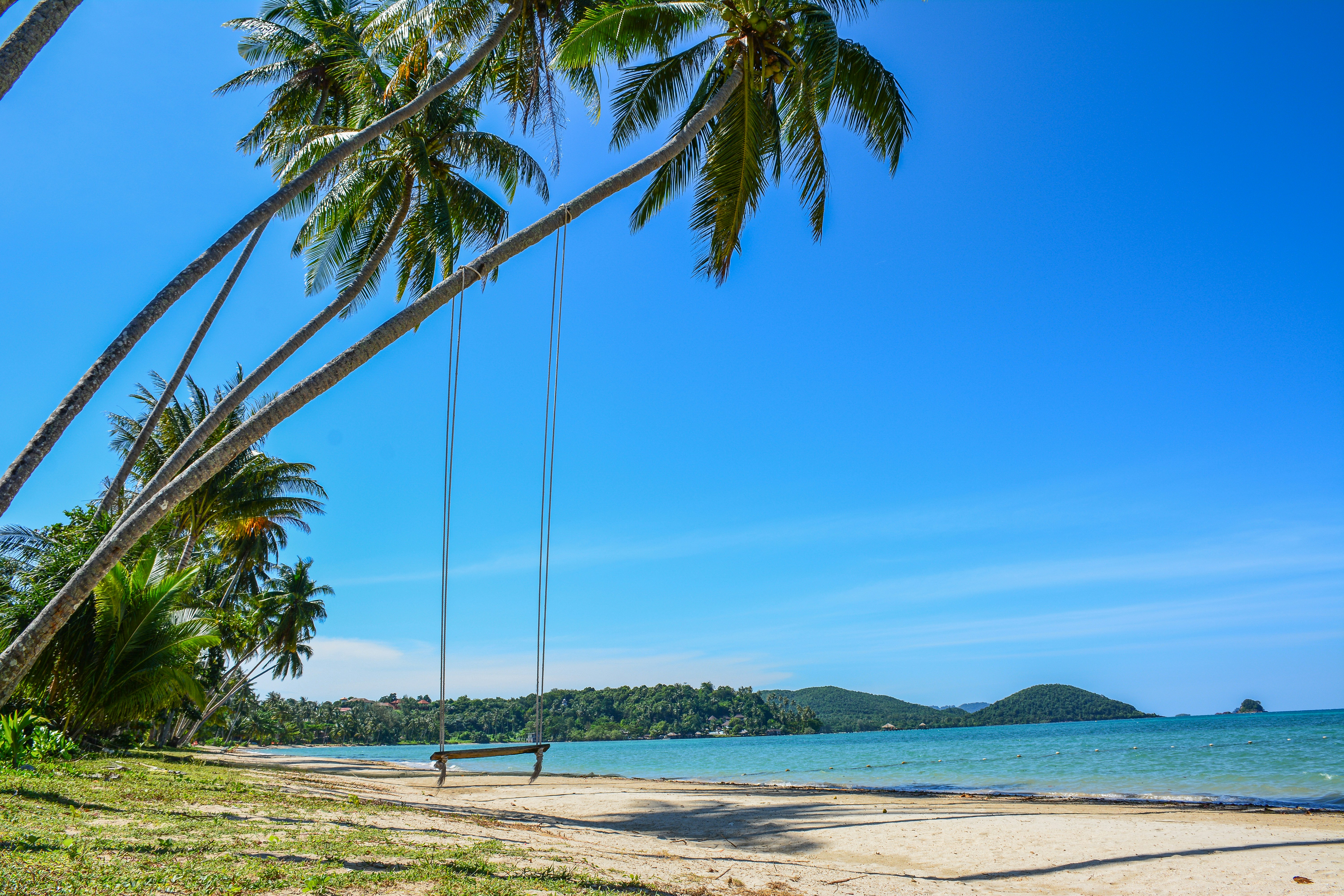 Palm trees and a swing on a tropical beach.