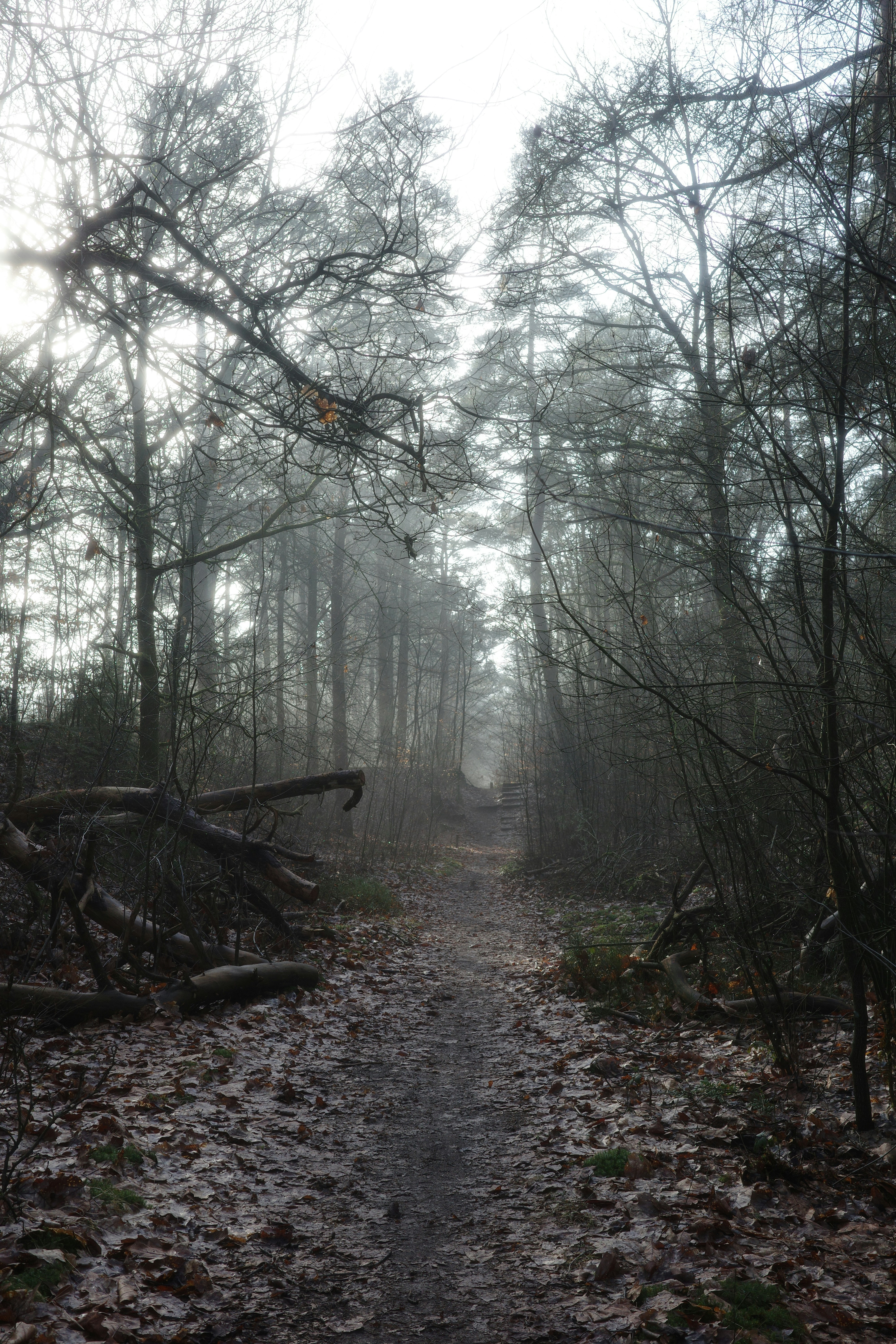 Photo by jeroenoverschie