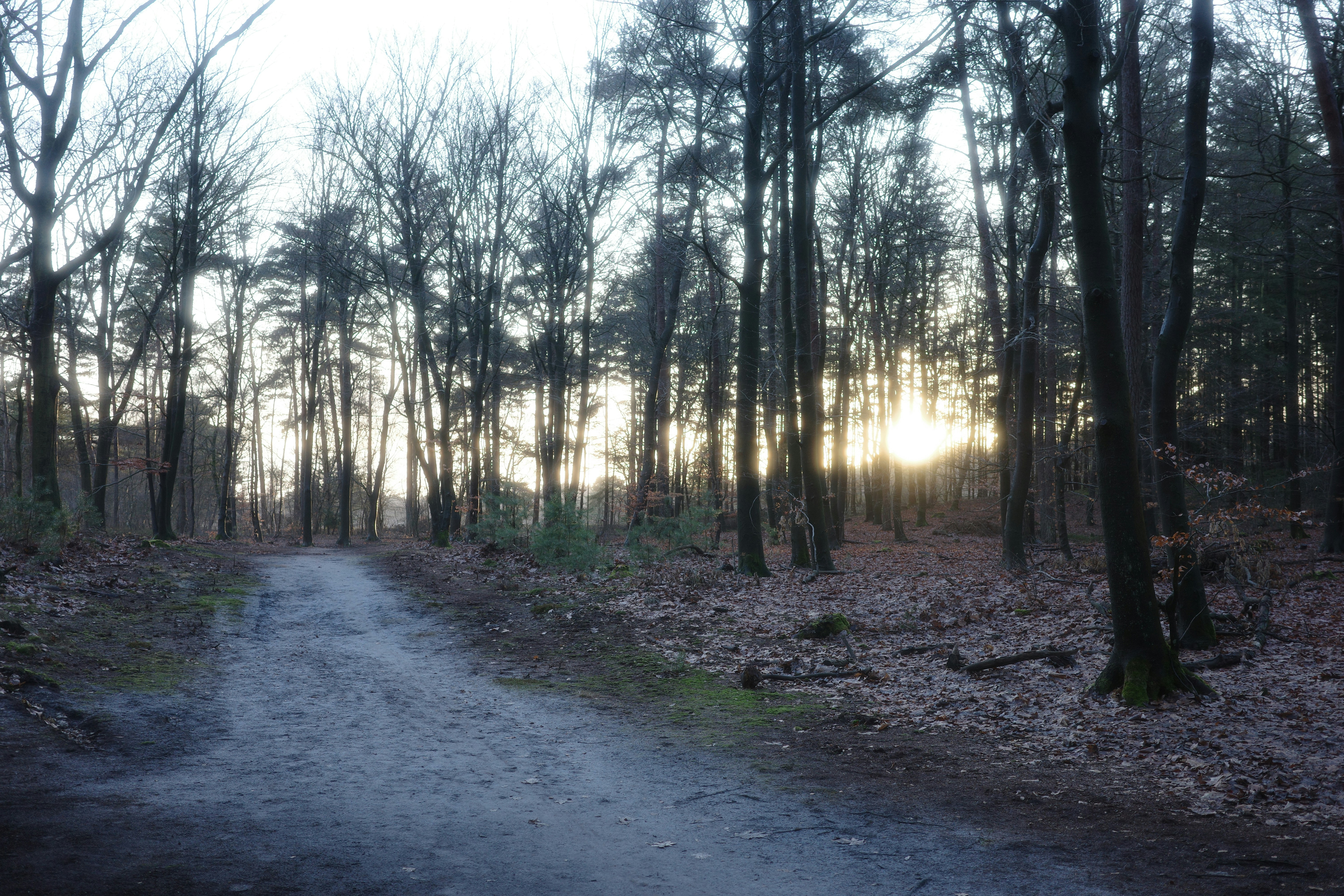 Photo by jeroenoverschie