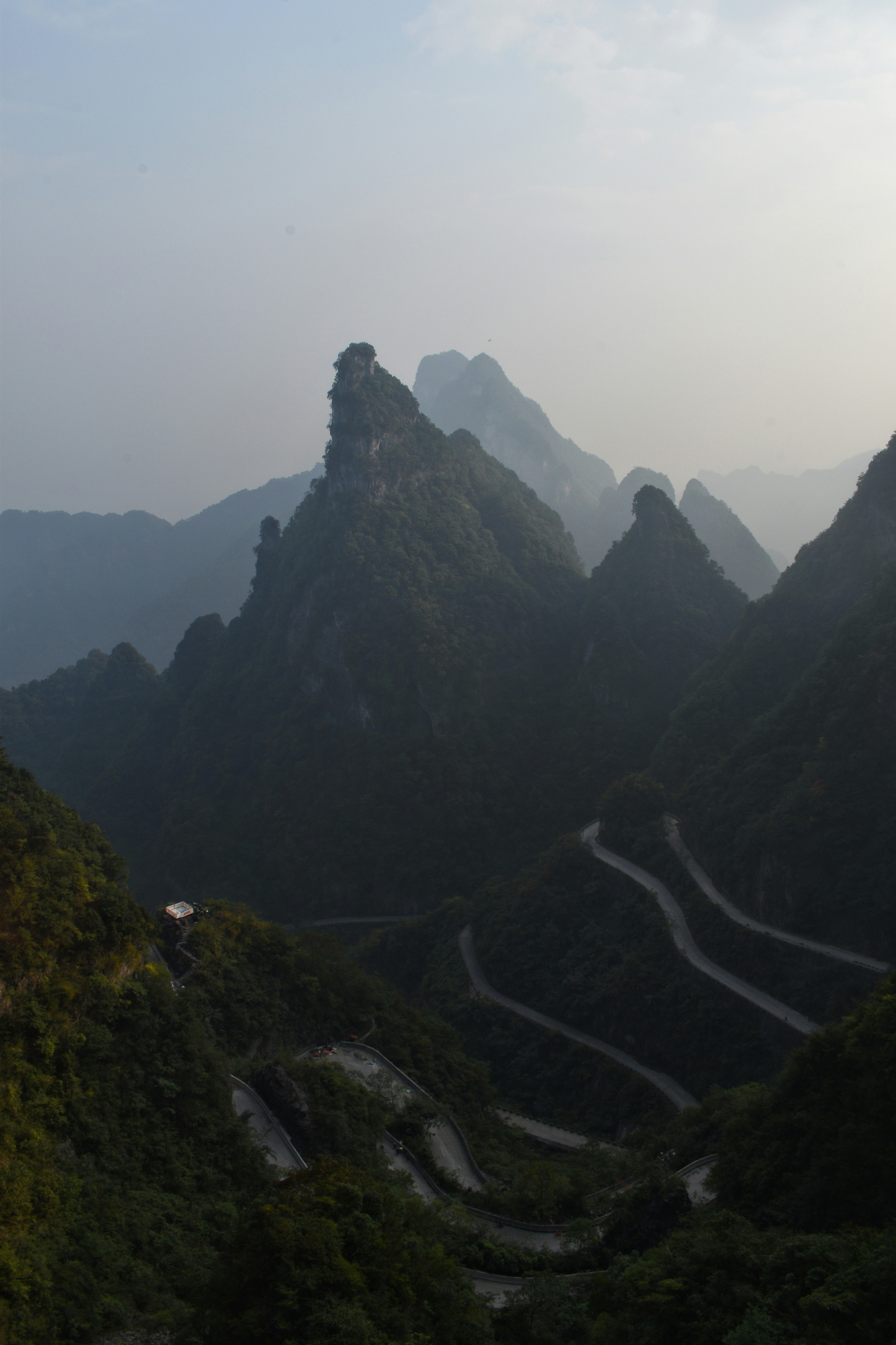 Photo by murphys_photos