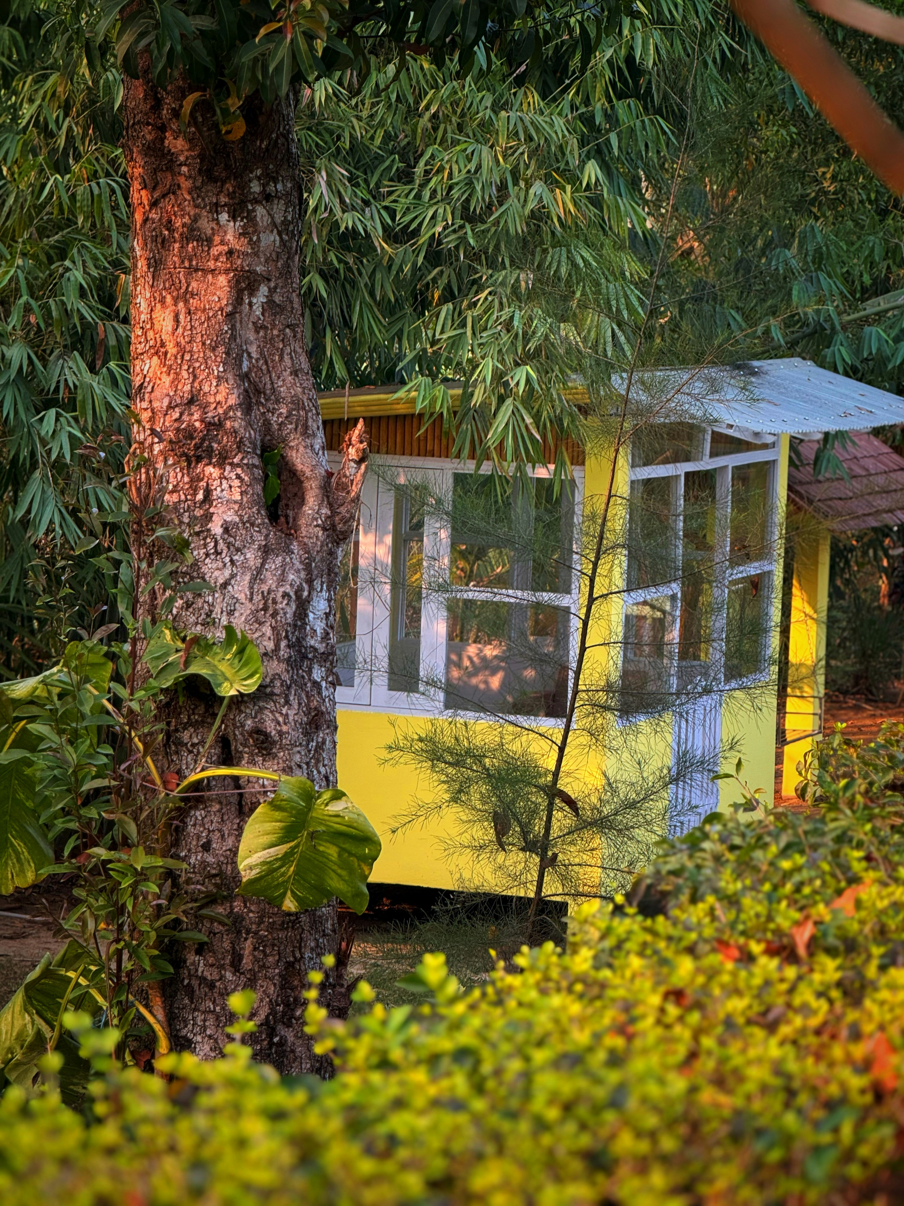 A small yellow cabin nestled among lush green trees.