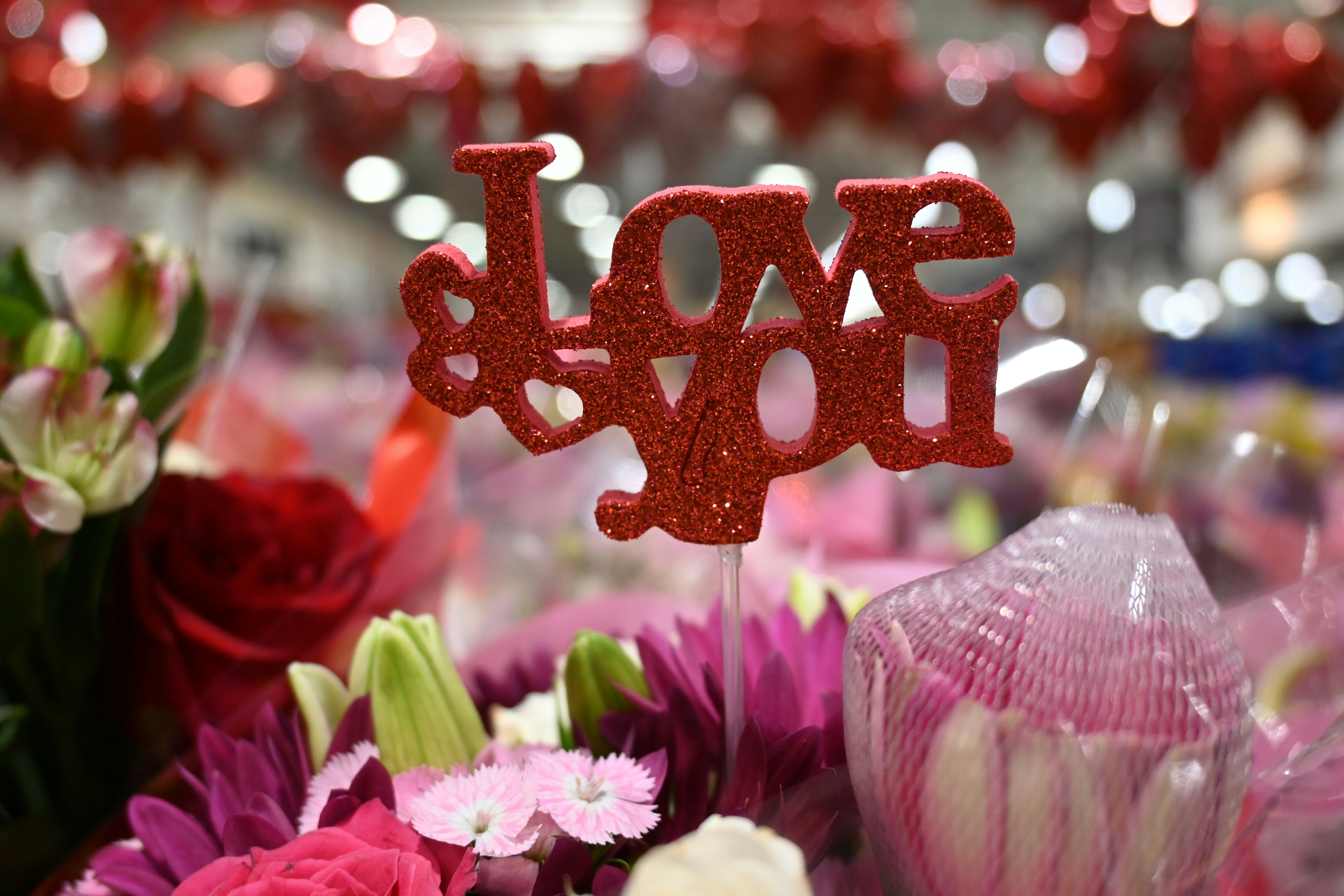 Are You in Love... or Just in Your Head?