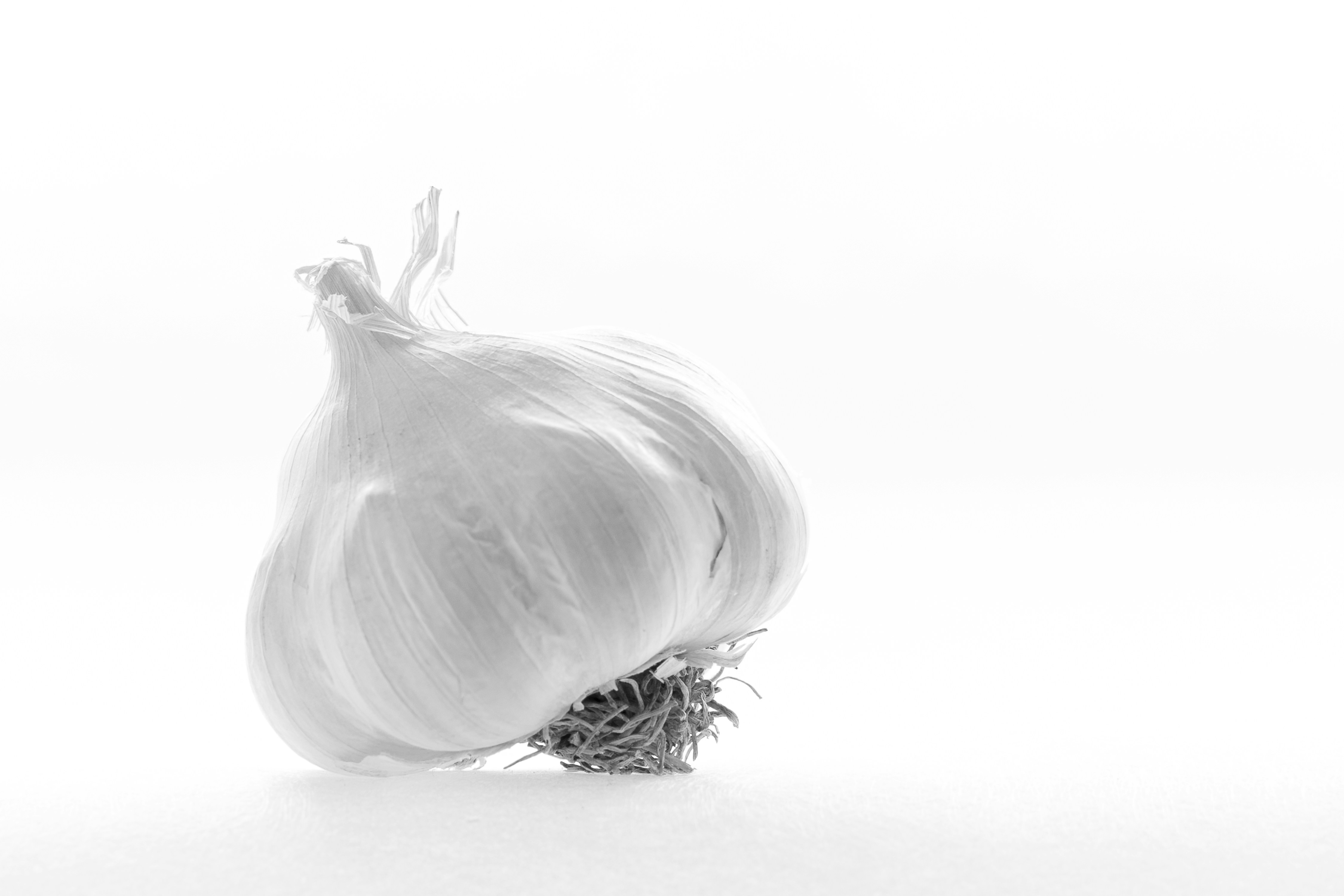 A single bulb of garlic on a white background