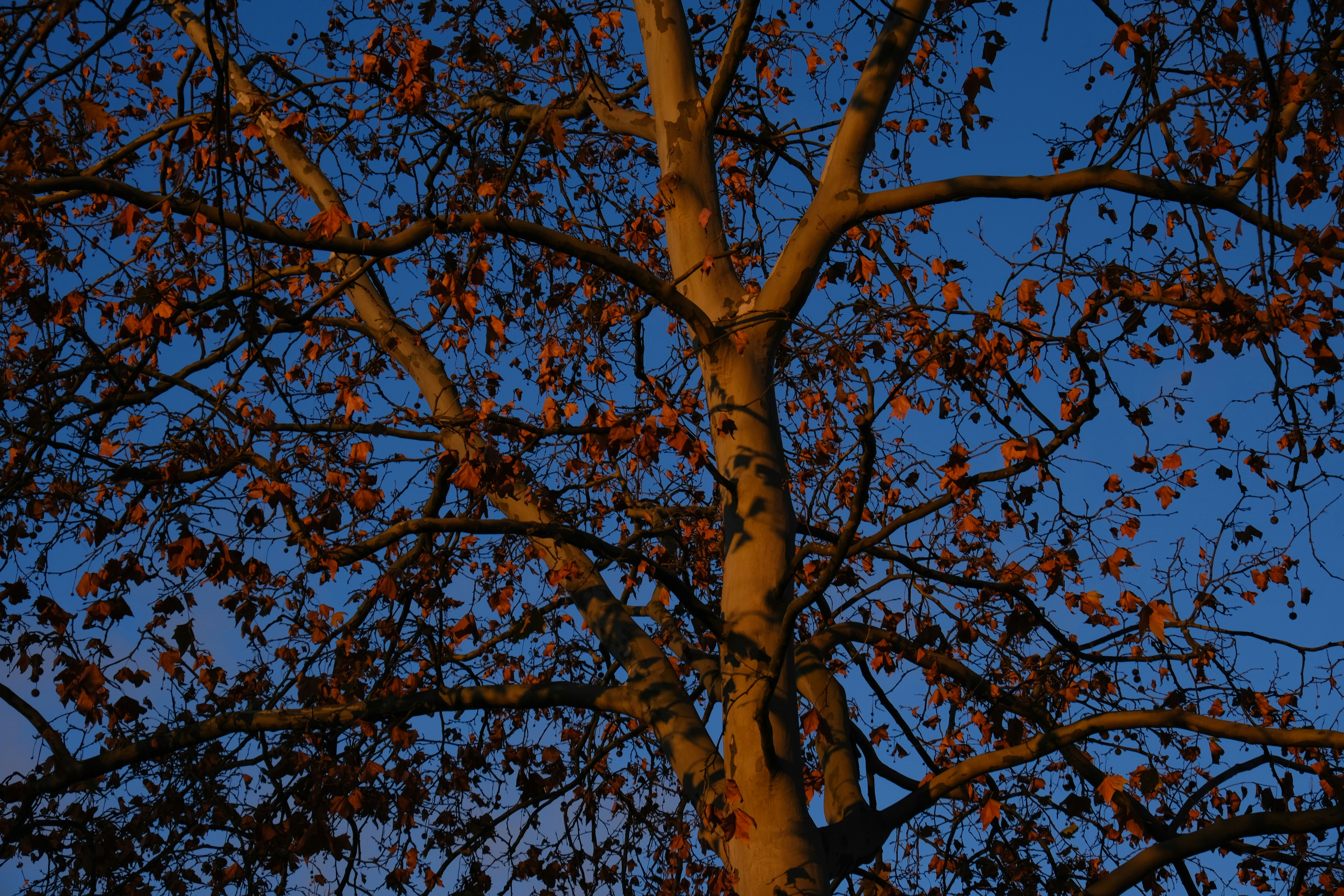 Photo by erikabeltran19