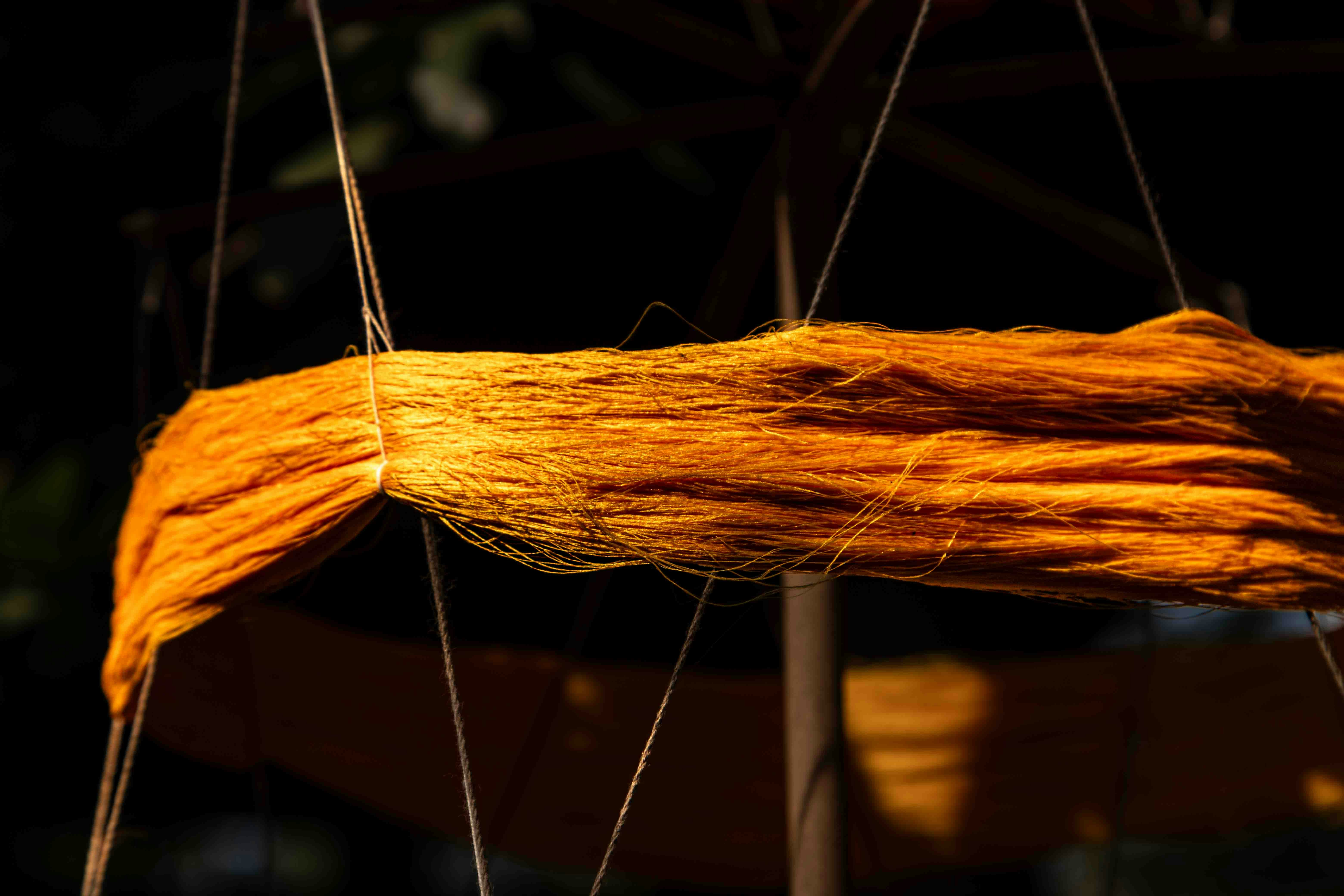 Close-up of golden silk threads hanging outdoors.