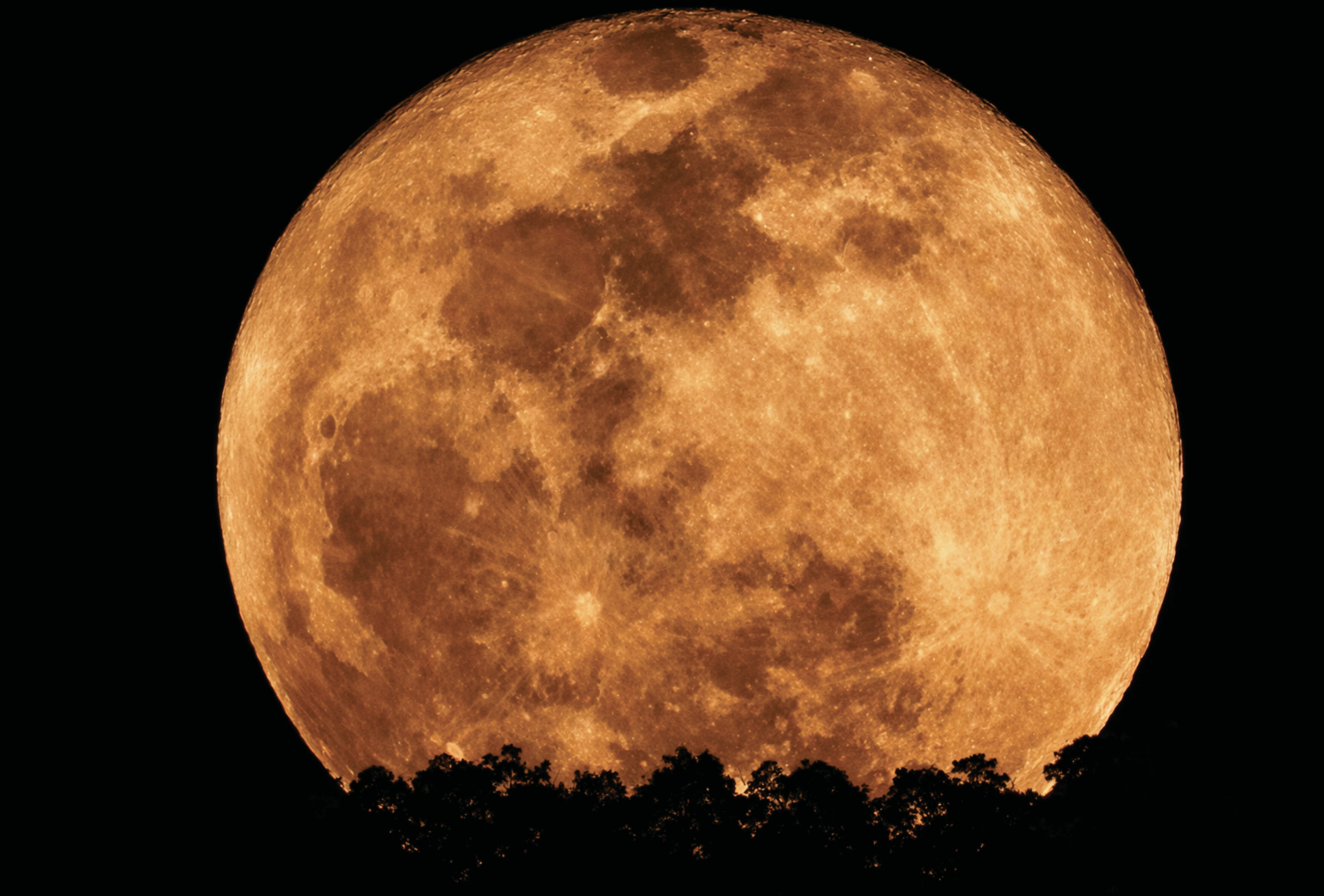 A large orange moon rises over a dark forest.