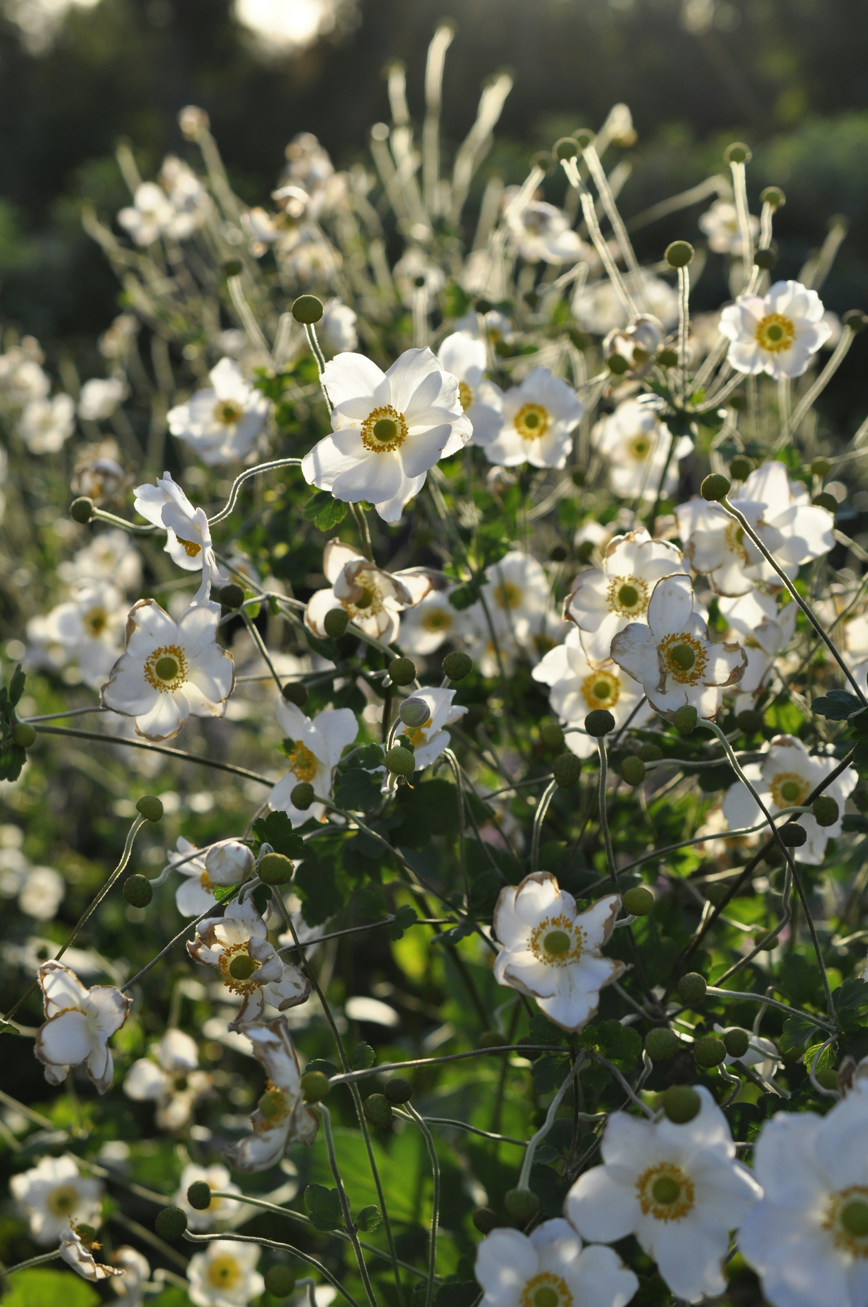 Photo by kateandress