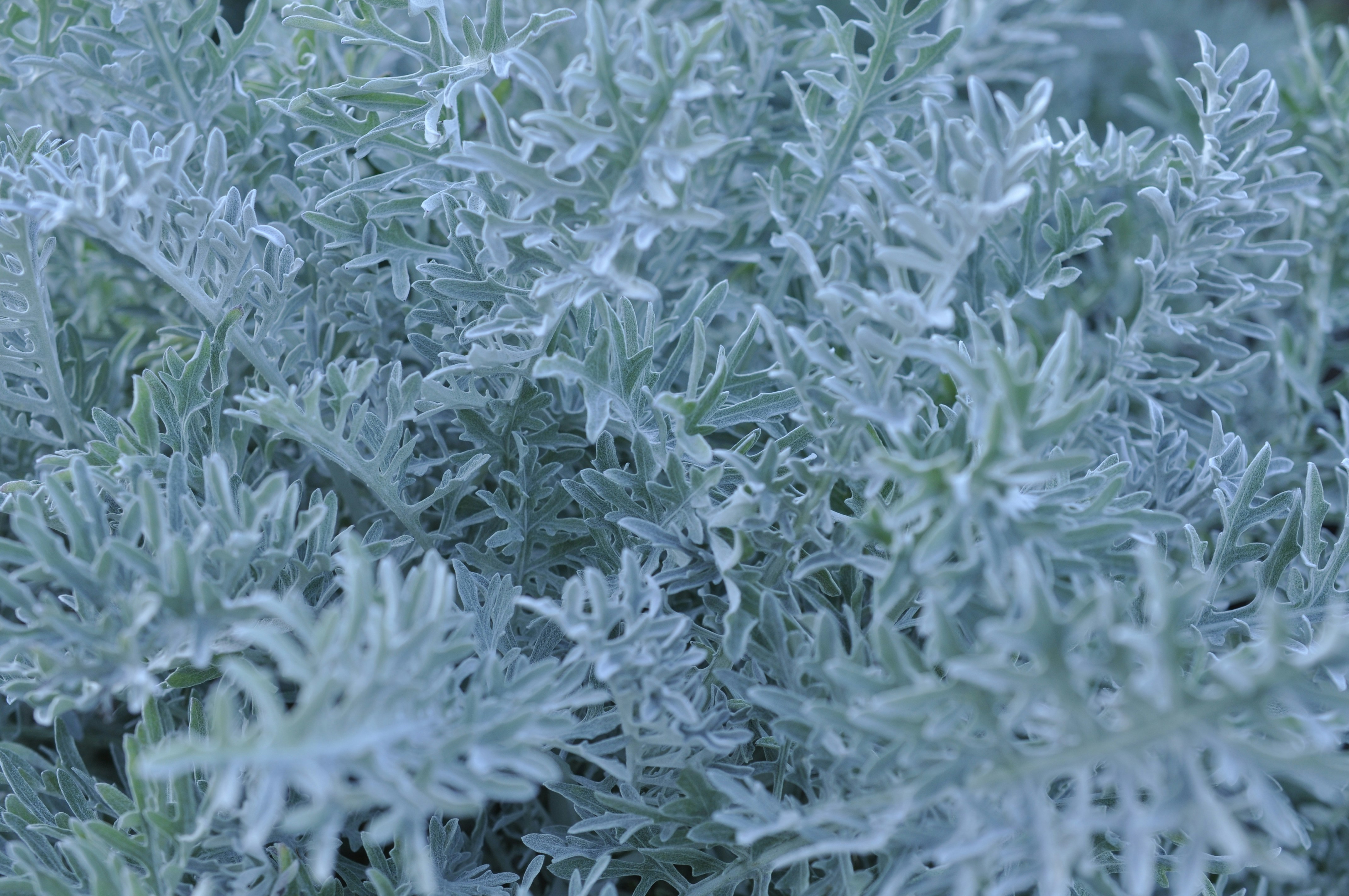 Photo by kateandress