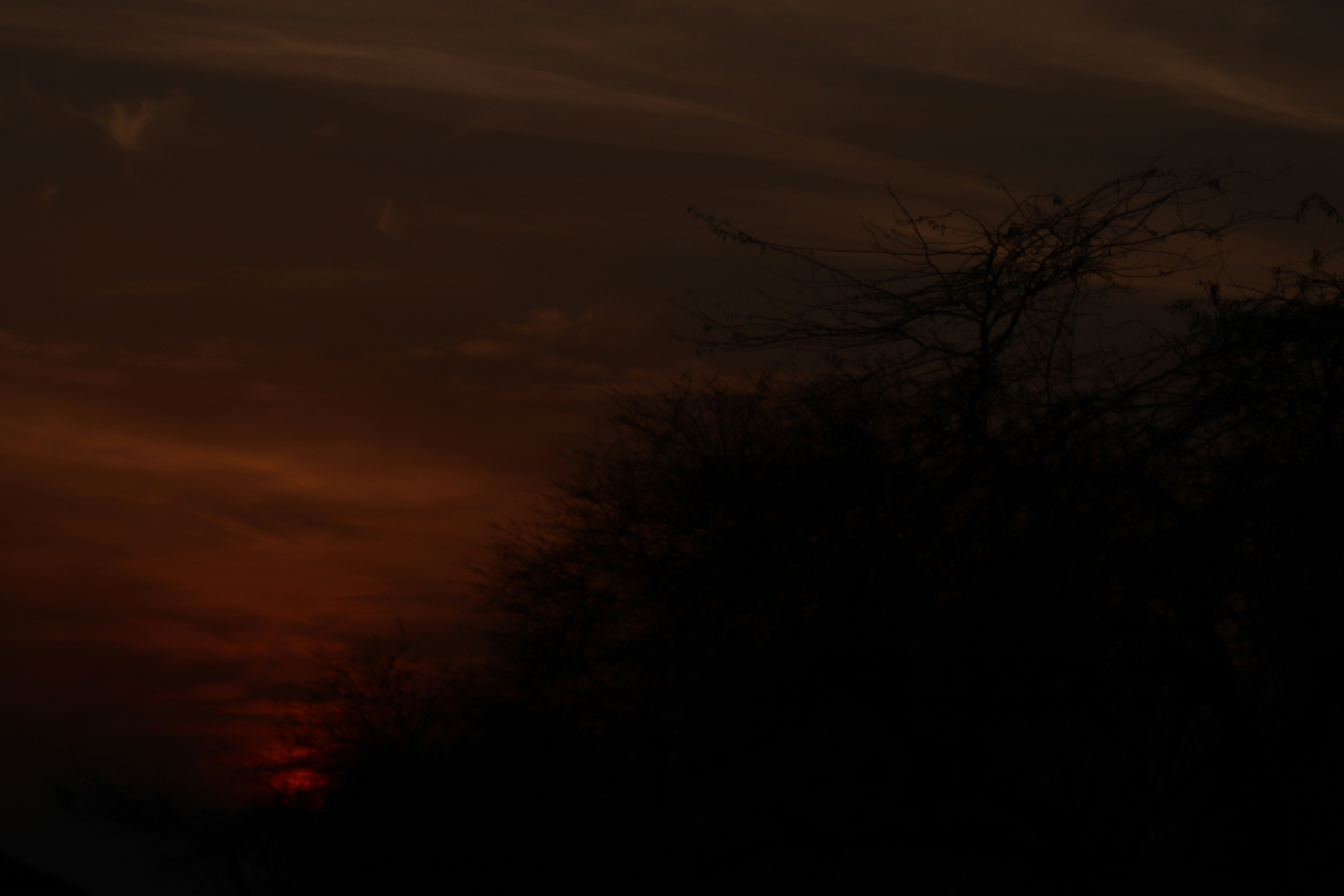 Photo by drphotographer152