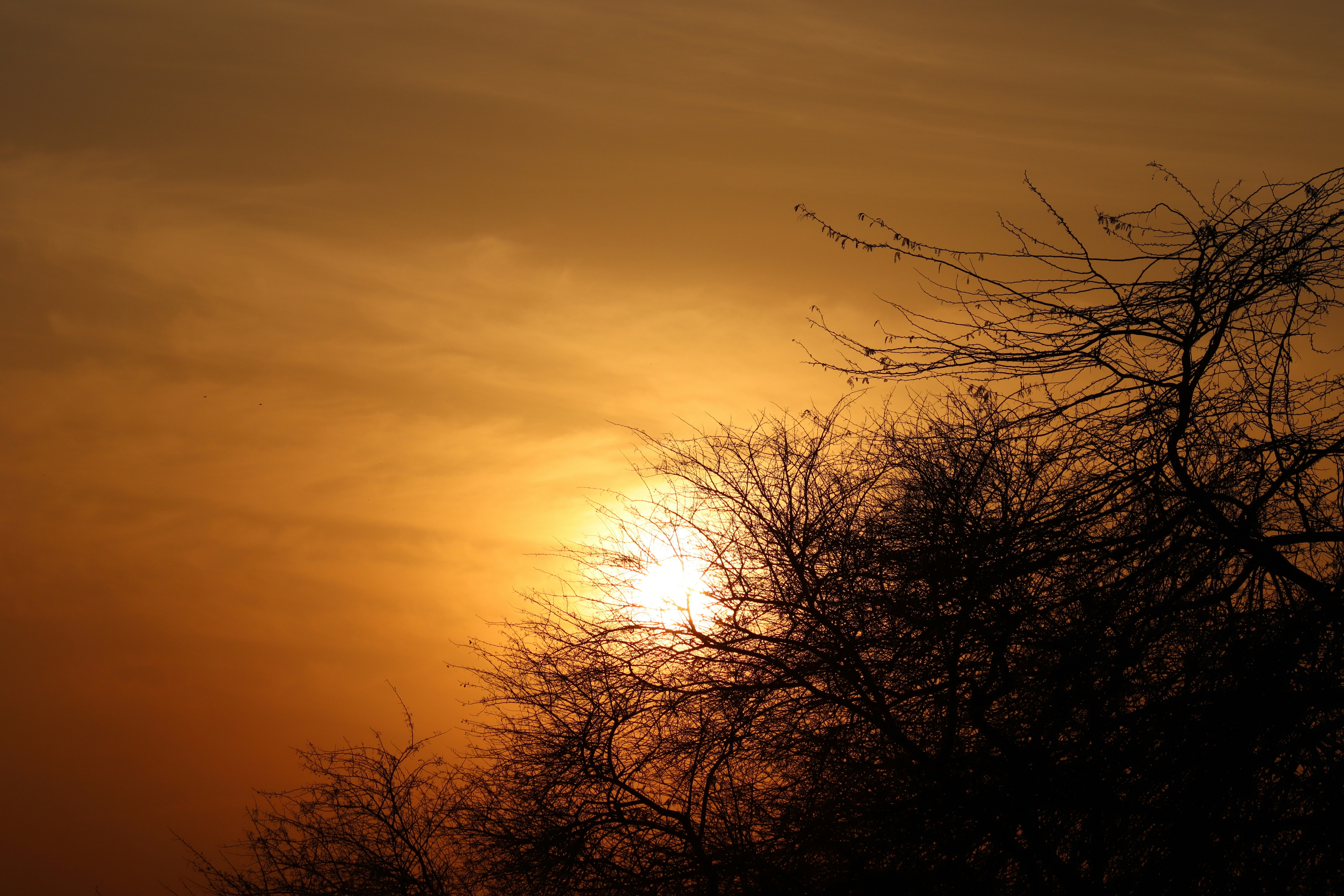 Photo by drphotographer152