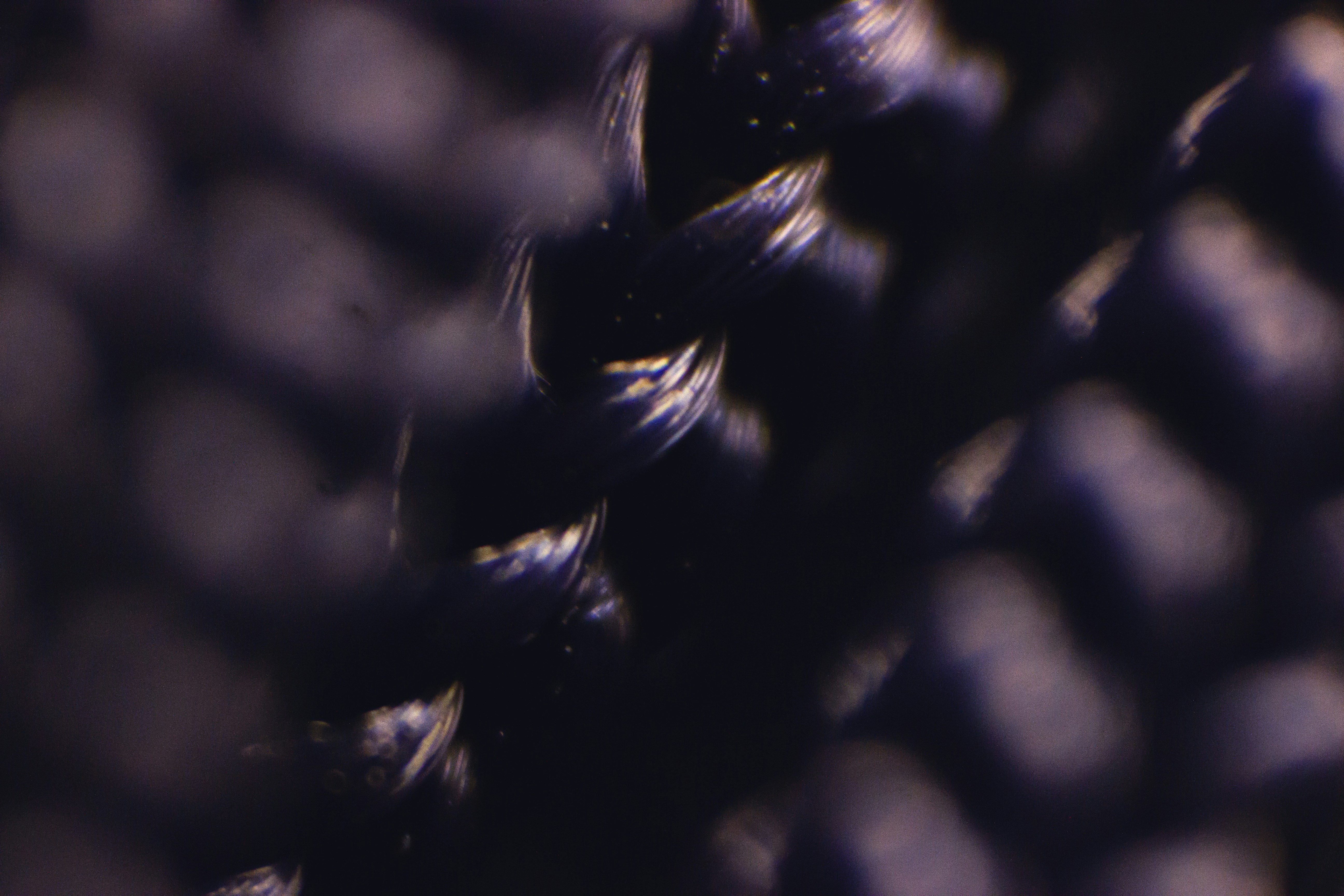 Photo by evan_marvell