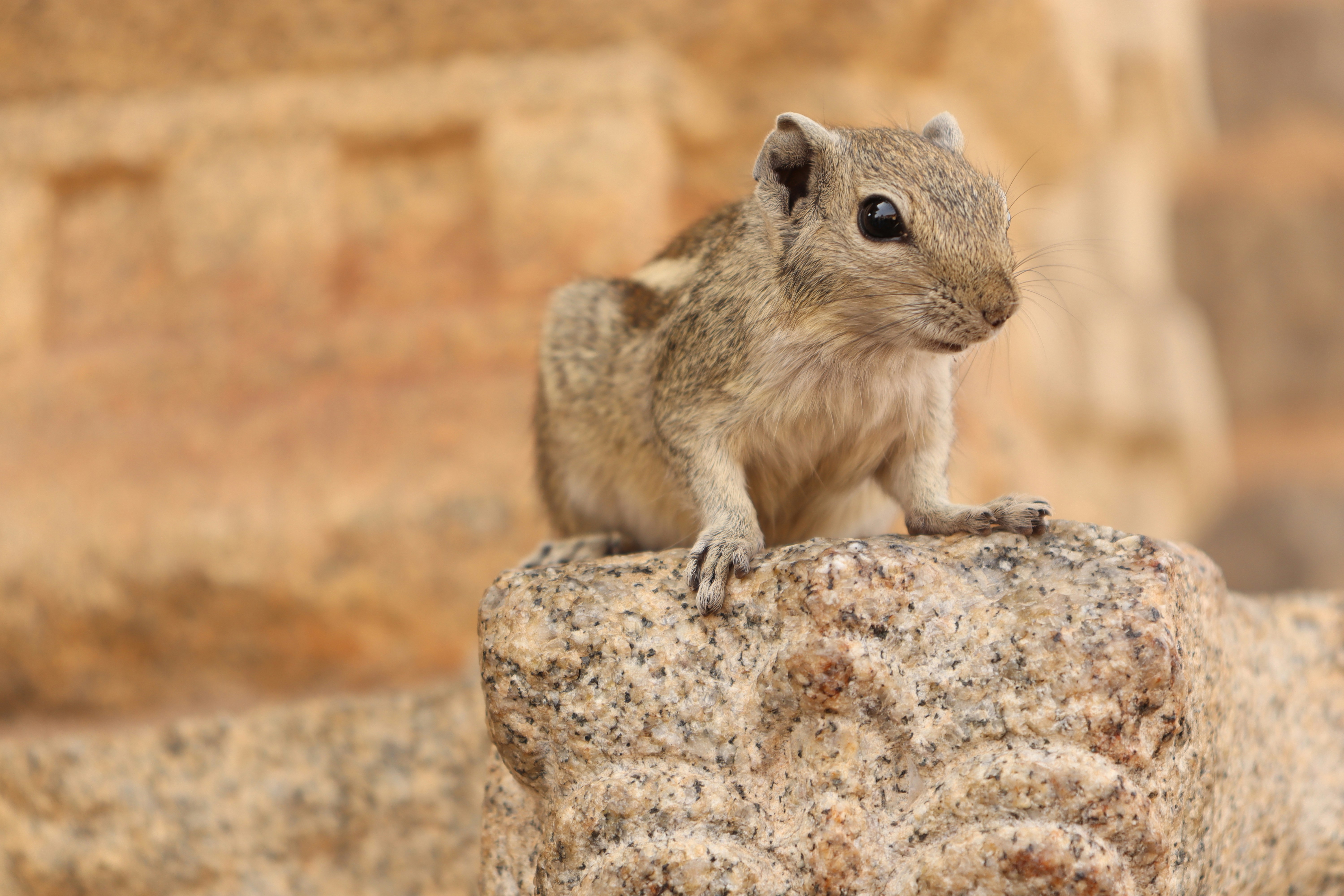 Photo by que_pictures