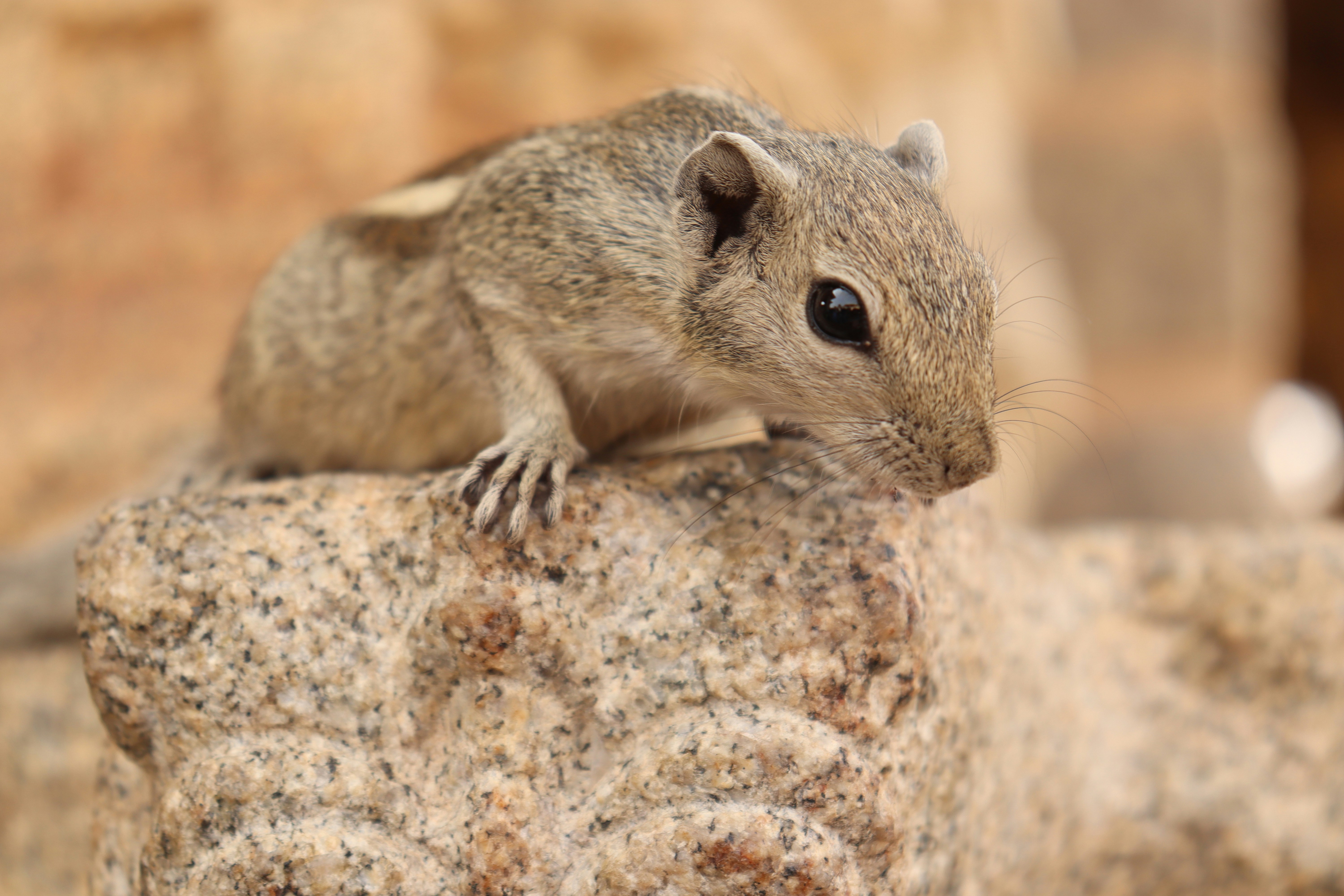 Photo by que_pictures