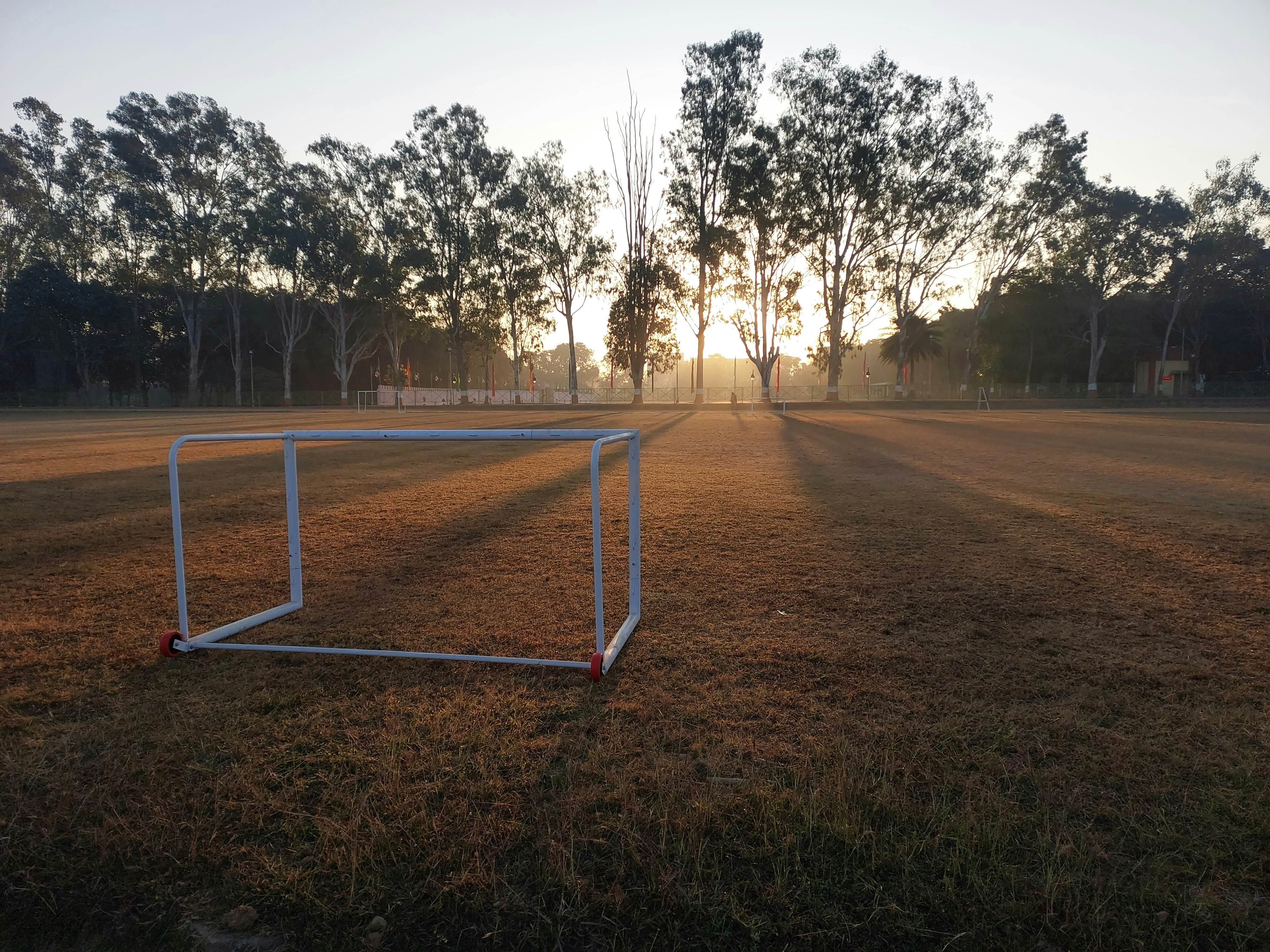 Maximize Your Workout: The Best Nutritional Strategies for Off-Season Fitness