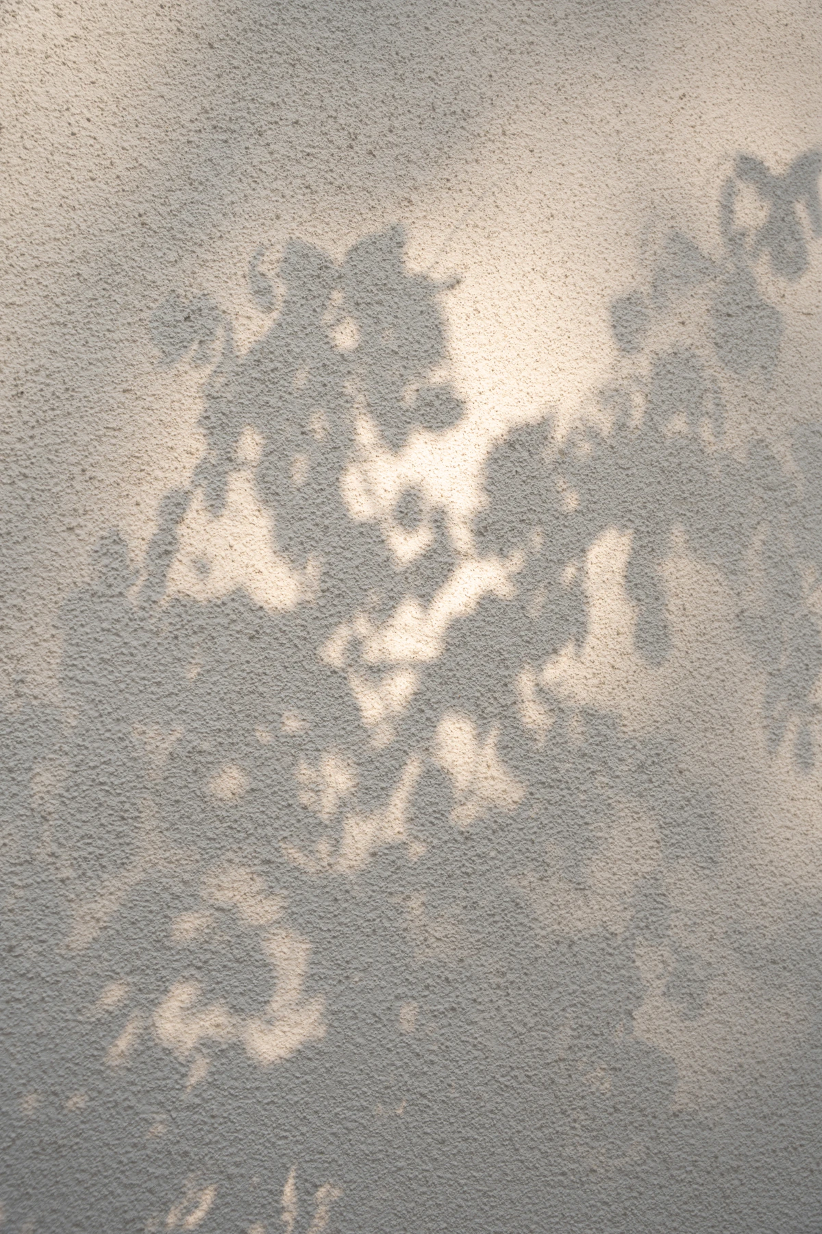 Leaf Shadow