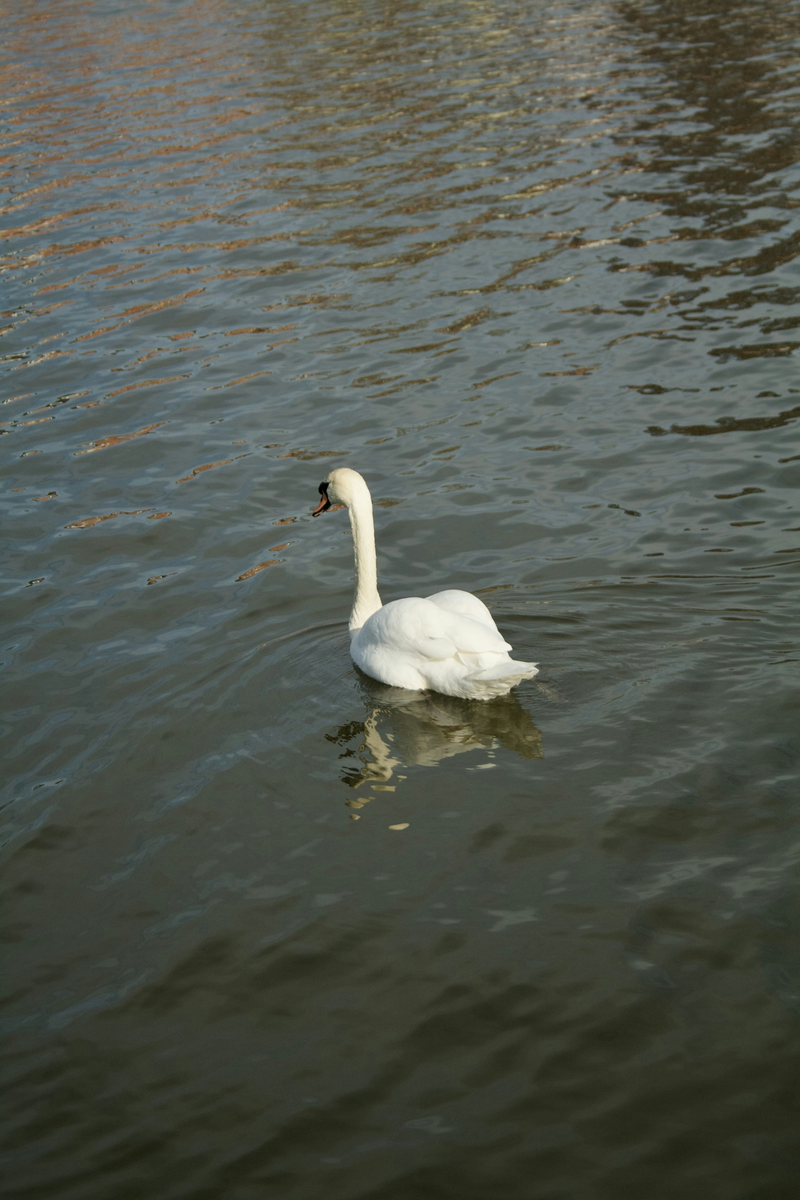 Photo by officiallyamandaaaa