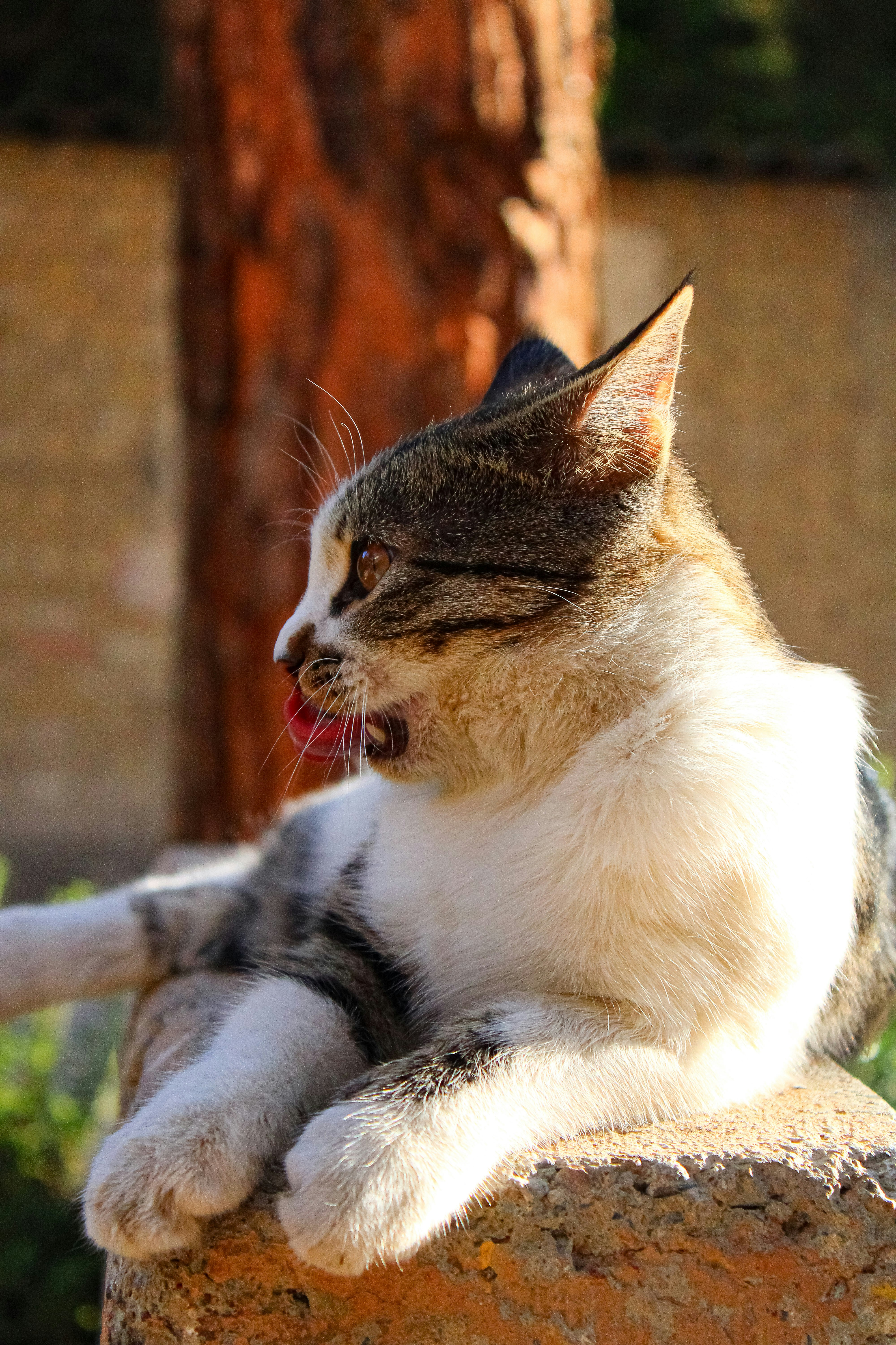 Photo by nouriehferdosian