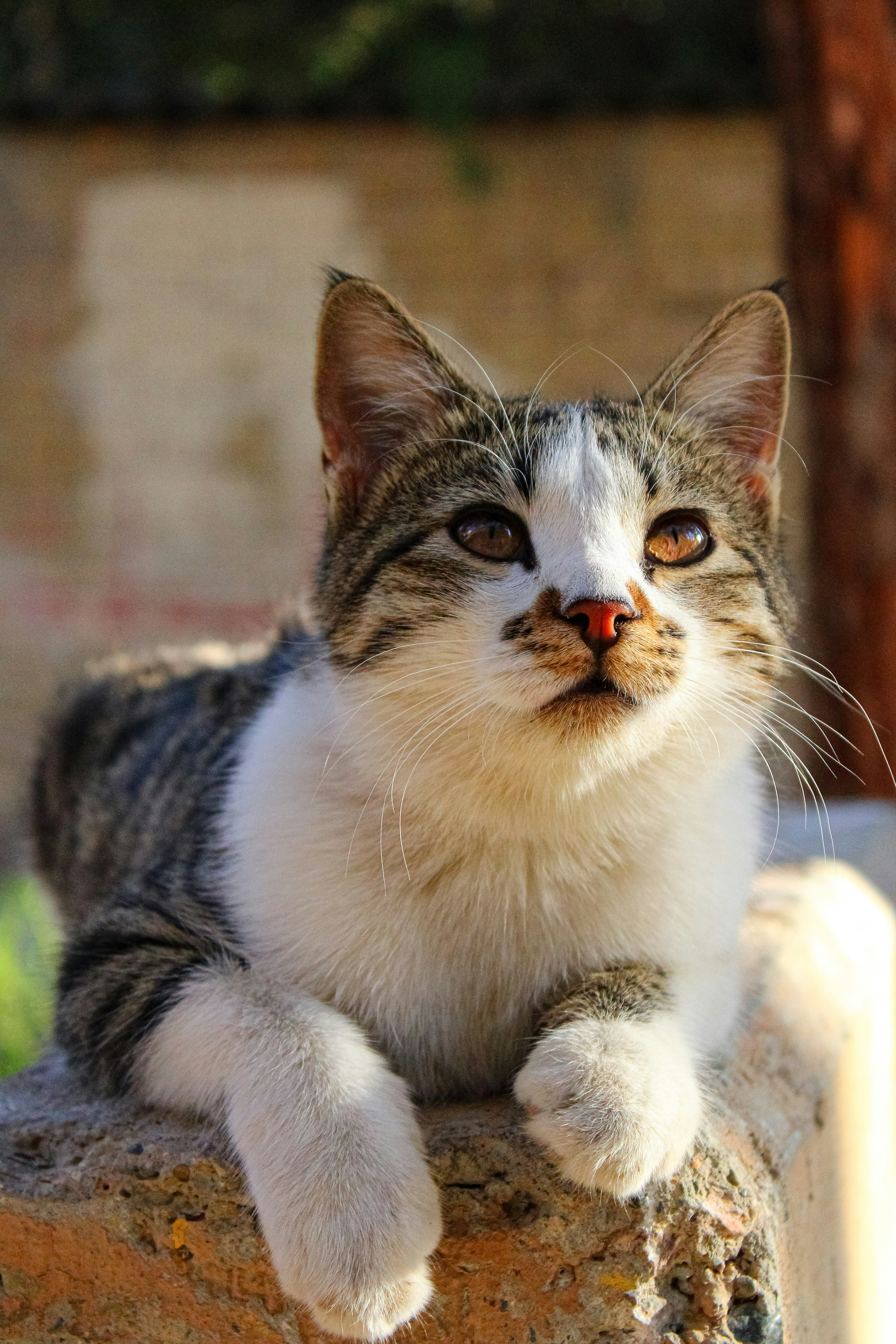 Photo by nouriehferdosian